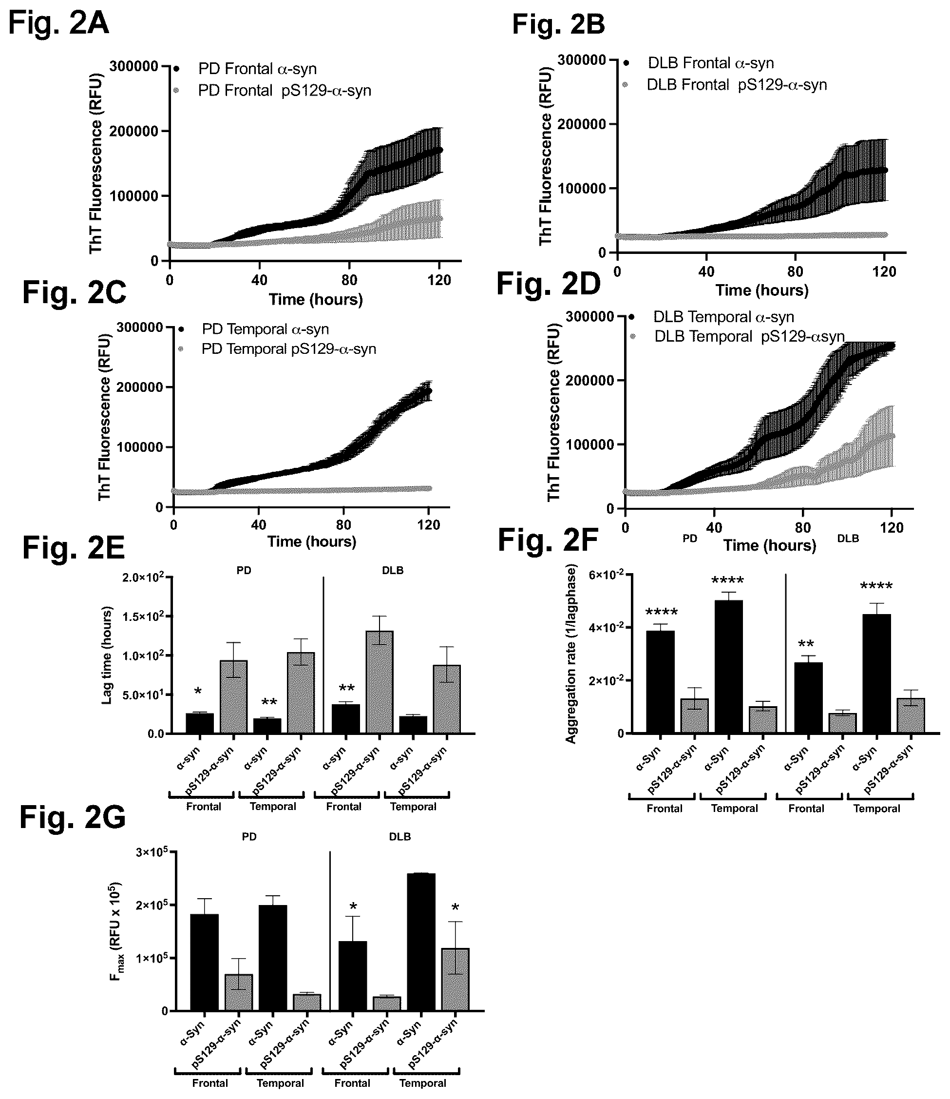 Patent US12351623 Figure 2 – Antibody compositions targeting non-phosphorylated alpha-synuclein aggregates
