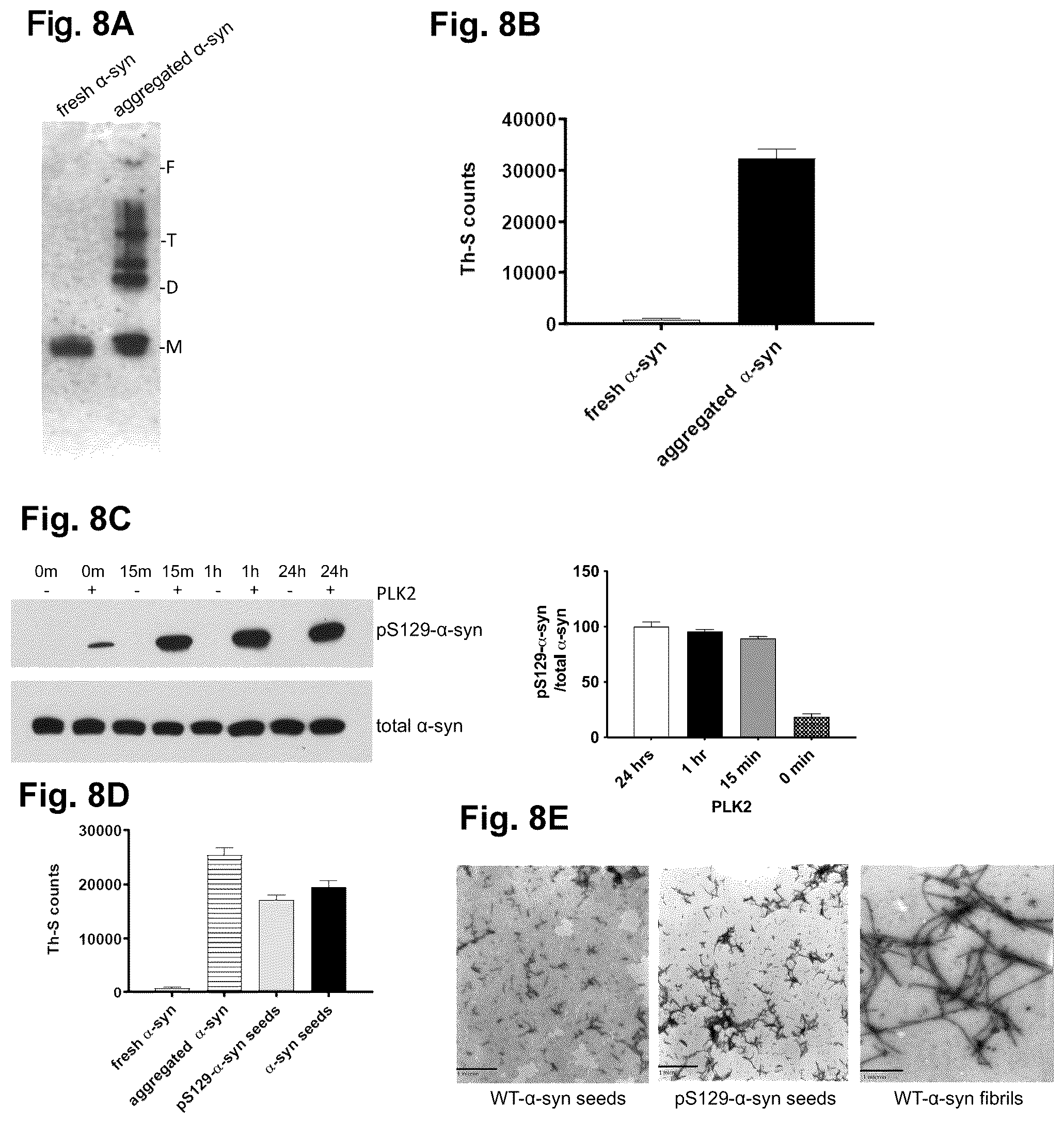 Patent US12351623 Figure 8 – Antibody compositions targeting non-phosphorylated alpha-synuclein aggregates