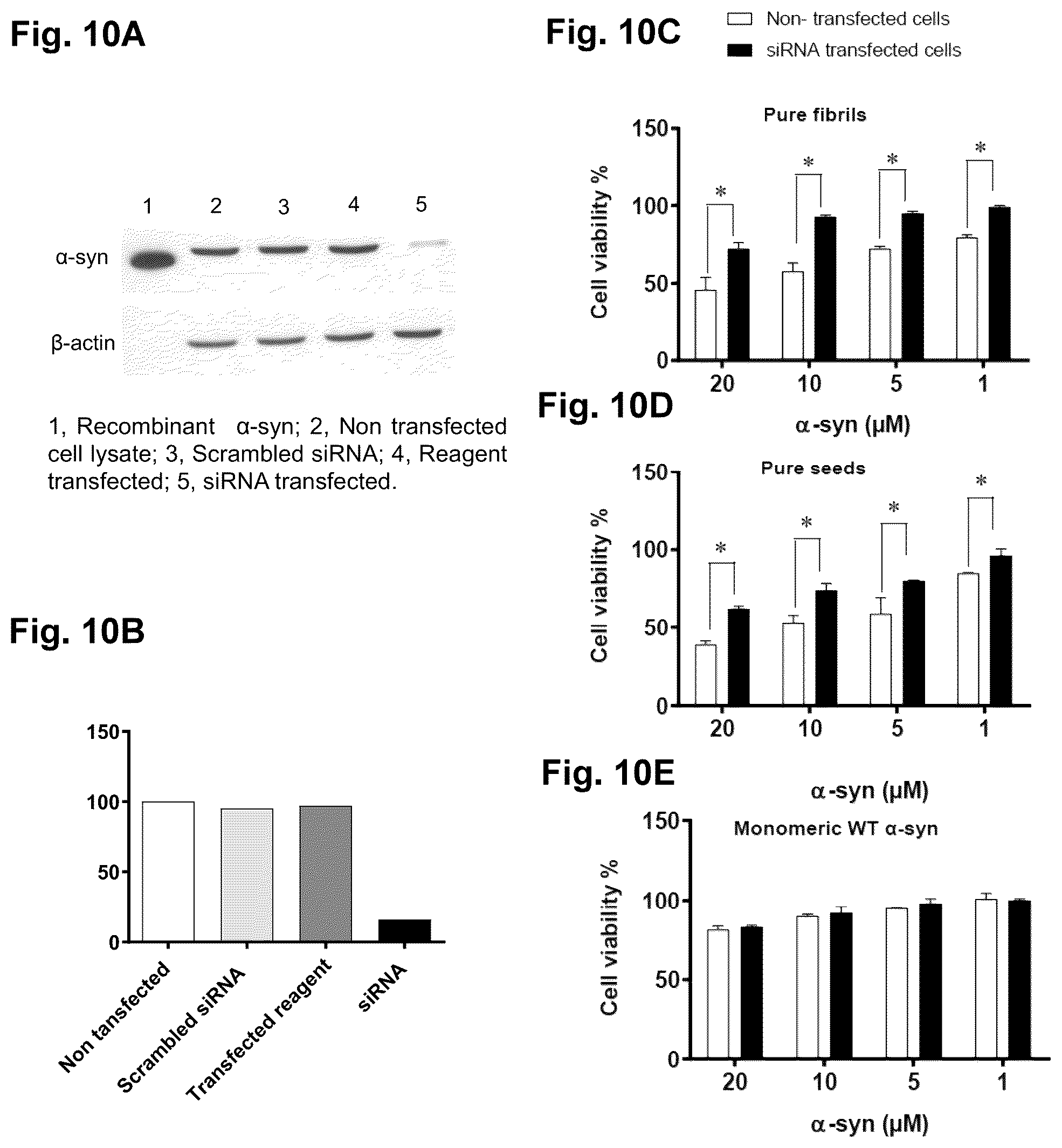 Patent US12351623 Figure 10 – Antibody compositions targeting non-phosphorylated alpha-synuclein aggregates