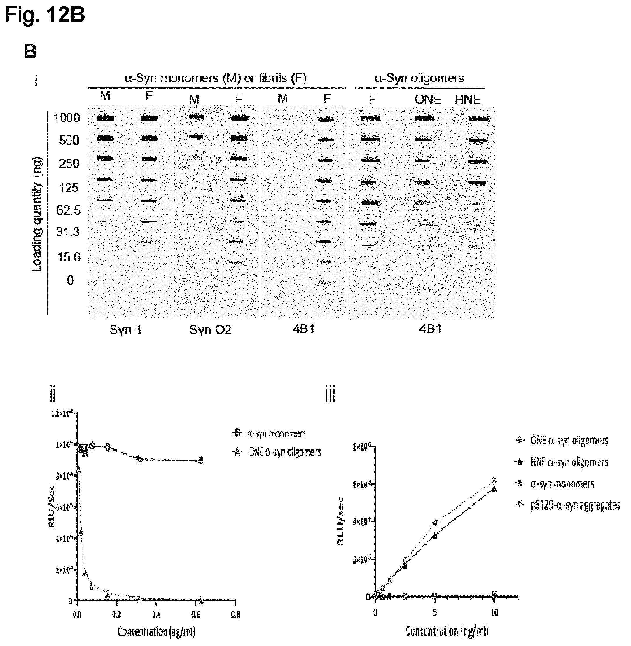 Patent US12351623 Figure 13 – Antibody compositions targeting non-phosphorylated alpha-synuclein aggregates
