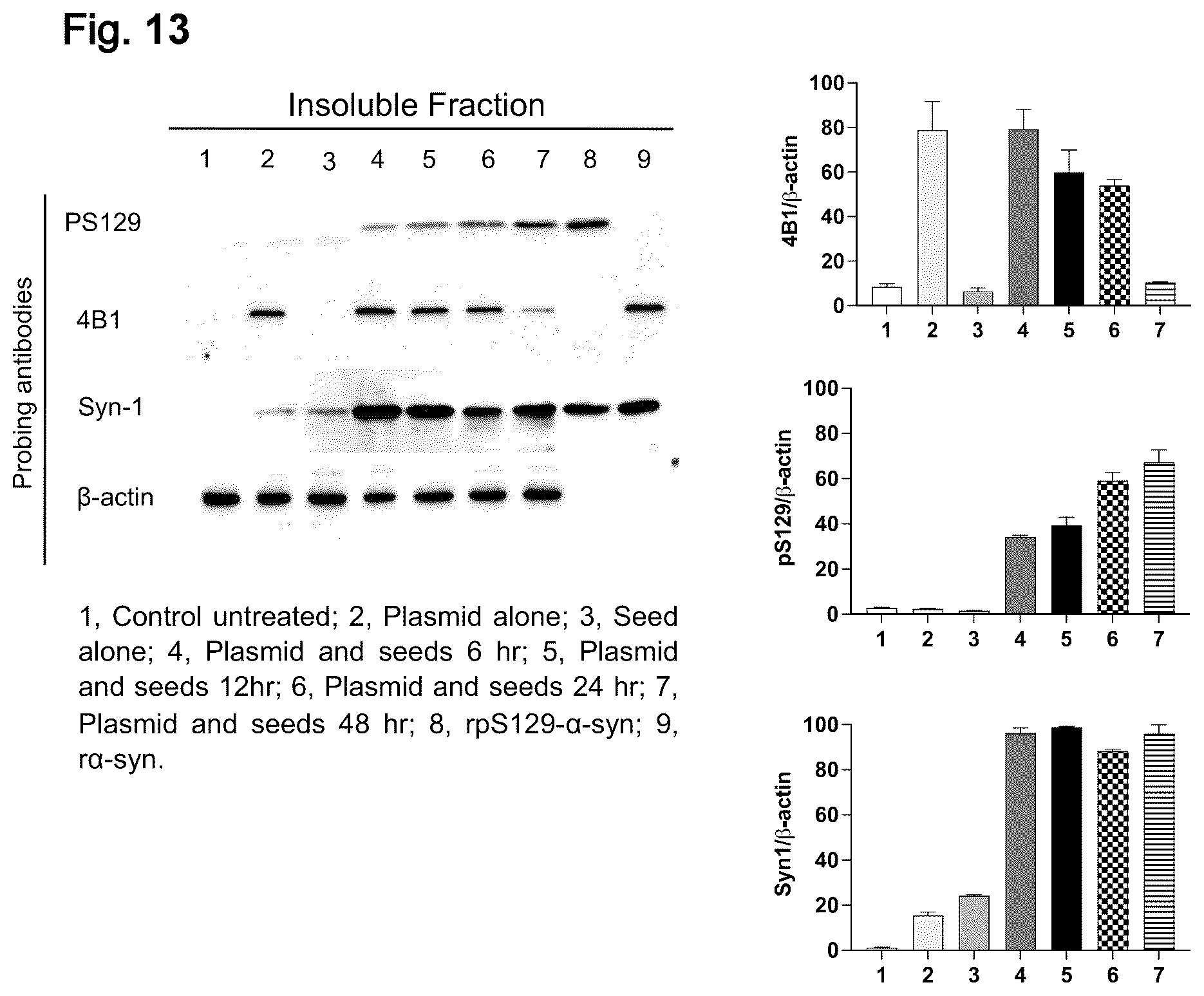 Patent US12351623 Figure 14 – Antibody compositions targeting non-phosphorylated alpha-synuclein aggregates