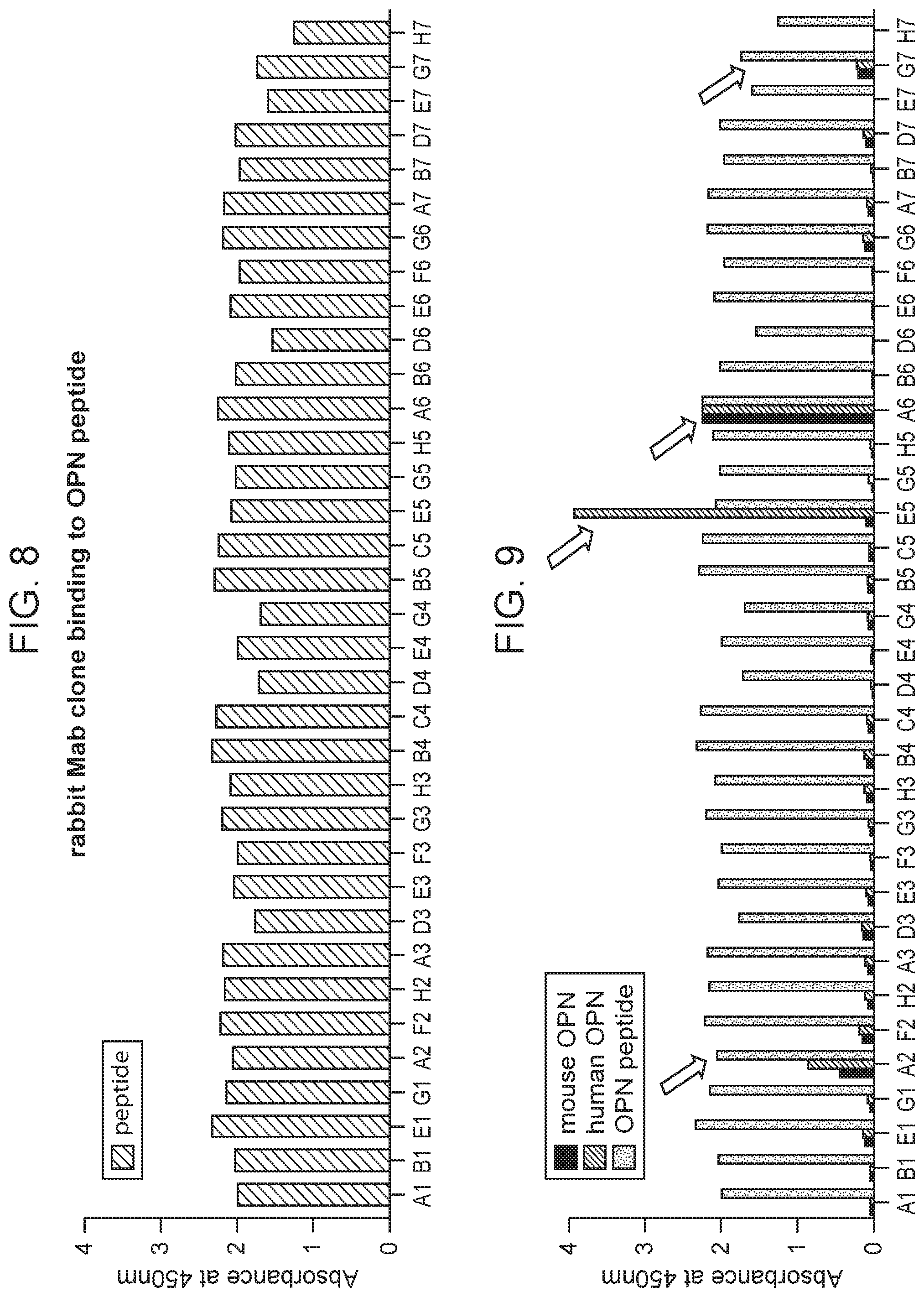 Patent US12351625 Figure 7 – Therapeutic antibodies against osteopontin