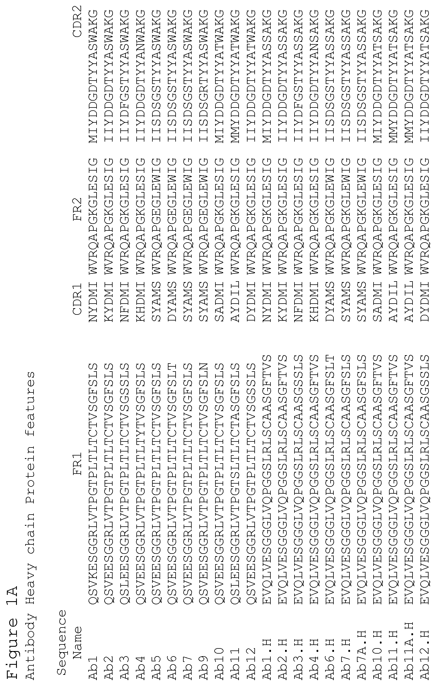 Patent US12351627 — Anti-ACTH antibodies and use thereof — Figure 1