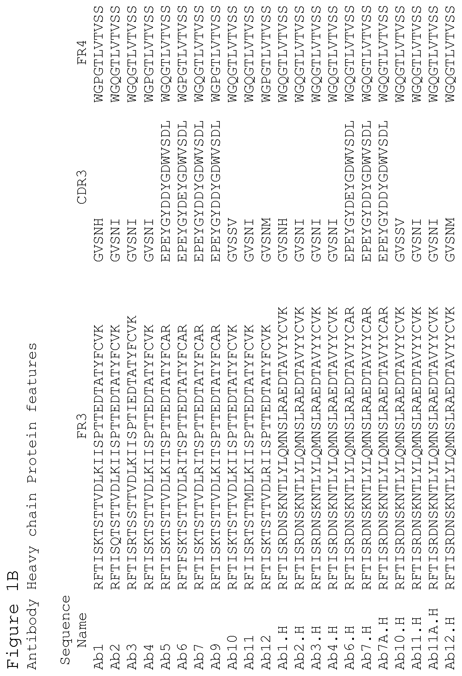 Patent US12351627 Figure 2 – Anti-ACTH antibodies and use thereof
