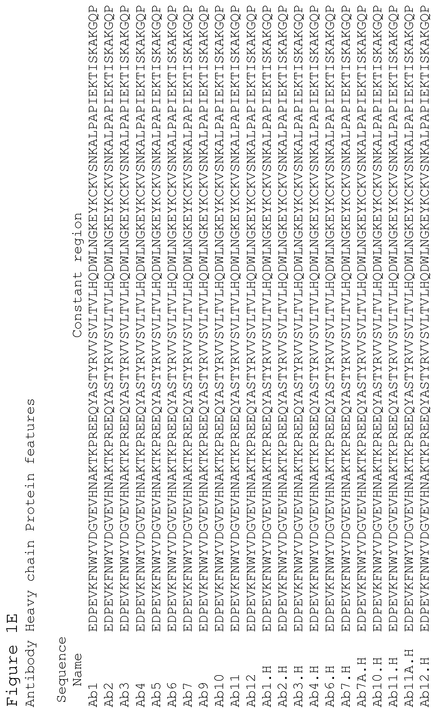 Patent US12351627 Figure 5 – Anti-ACTH antibodies and use thereof