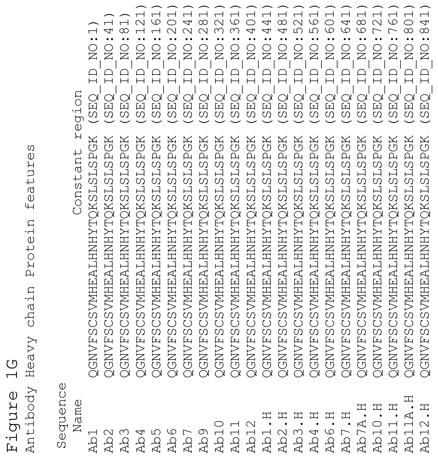 Patent US12351627 Figure 7 – Anti-ACTH antibodies and use thereof