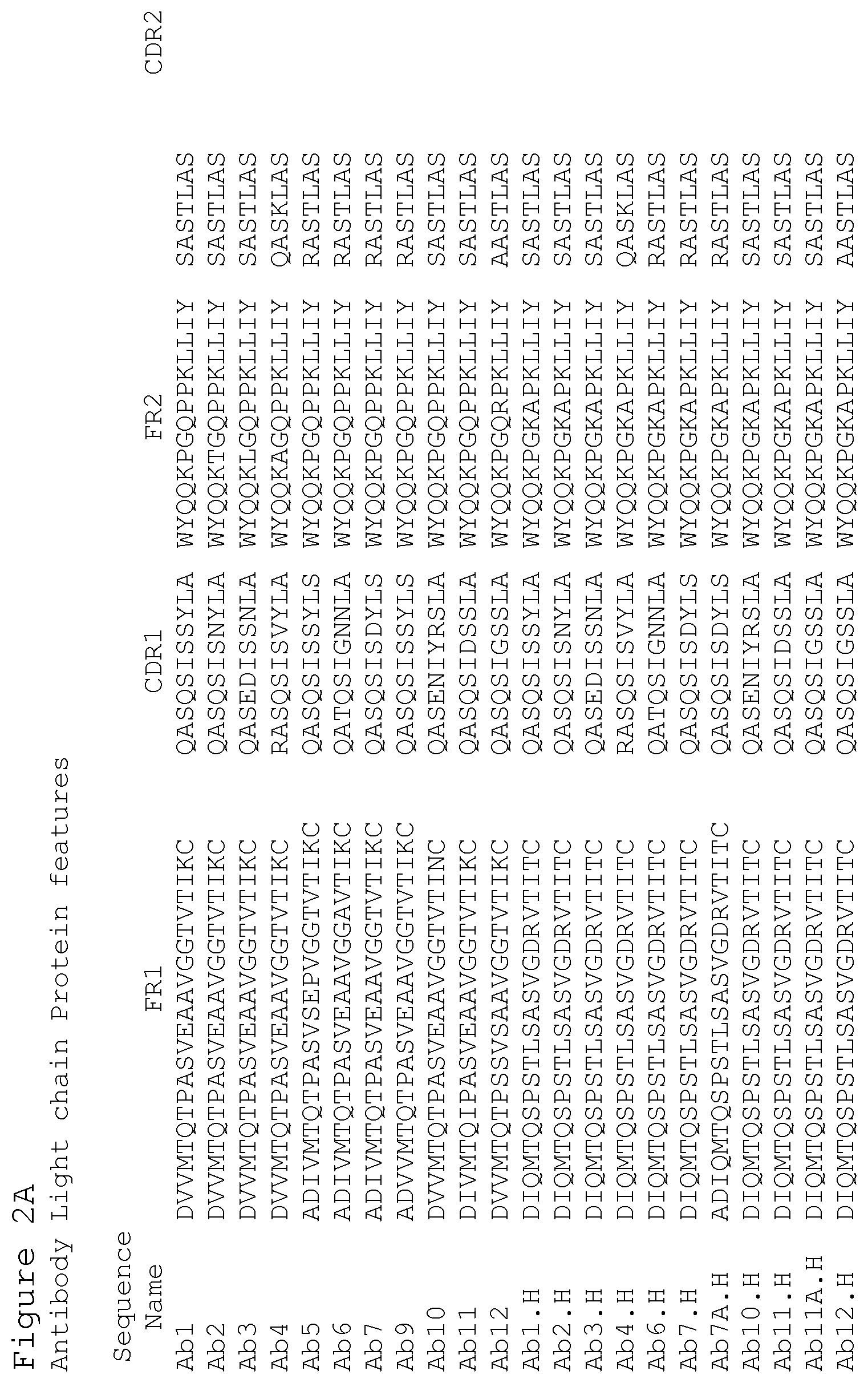 Patent US12351627 Figure 8 – Anti-ACTH antibodies and use thereof