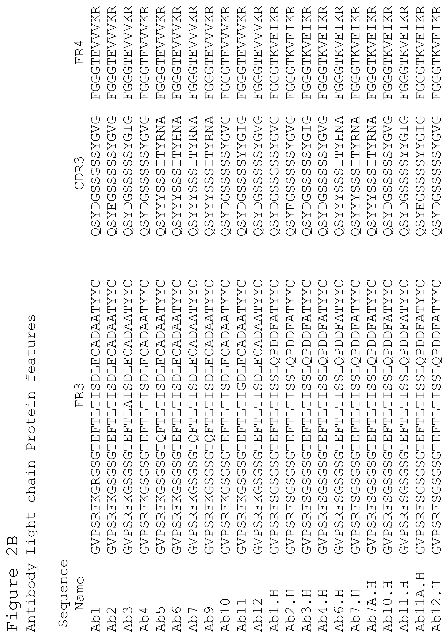 Patent US12351627 Figure 9 – Anti-ACTH antibodies and use thereof