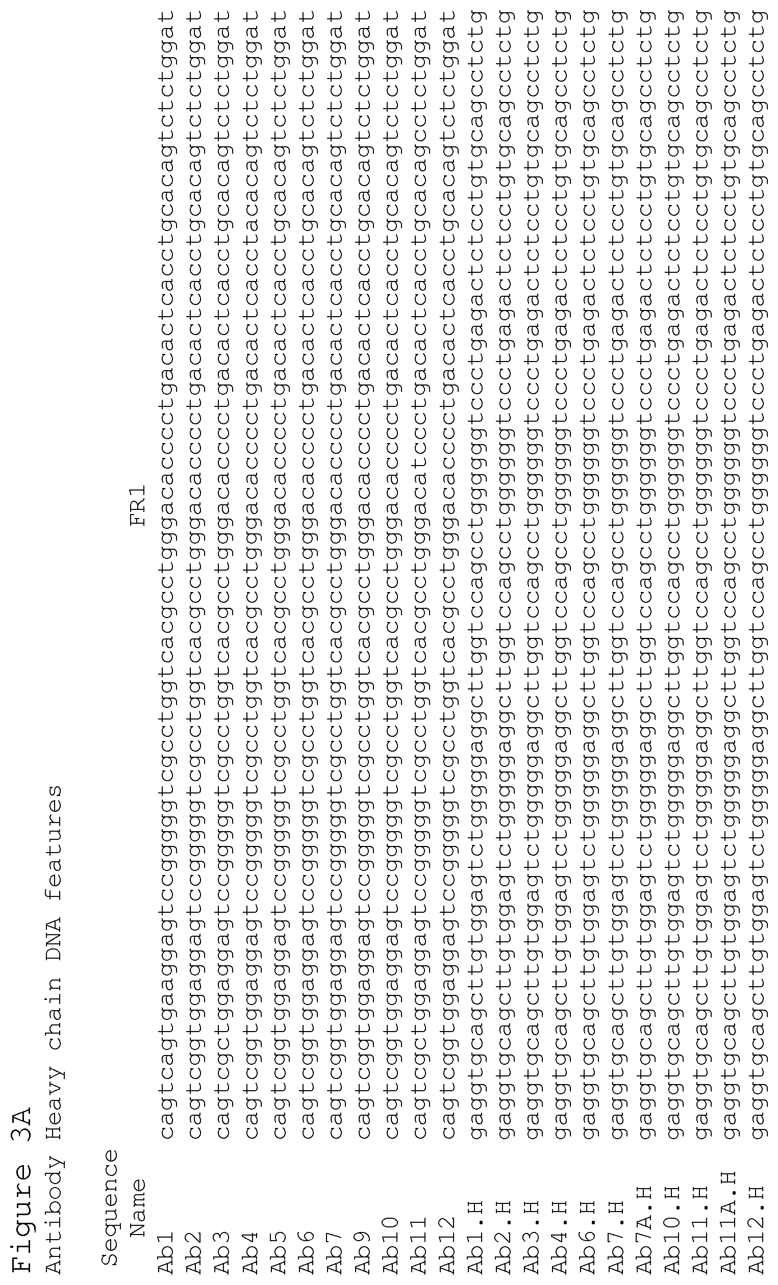 Patent US12351627 Figure 12 – Anti-ACTH antibodies and use thereof