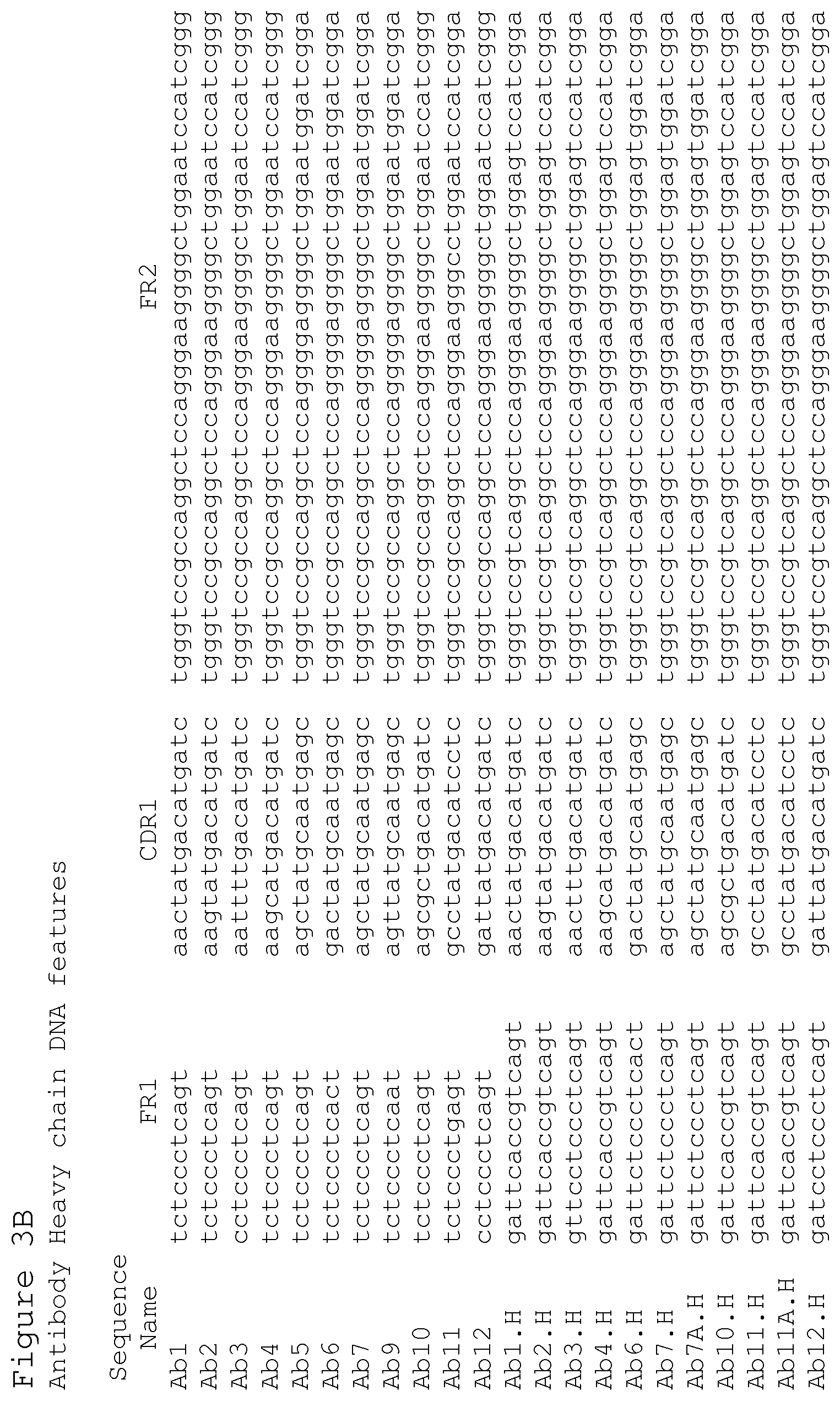 Patent US12351627 Figure 13 – Anti-ACTH antibodies and use thereof