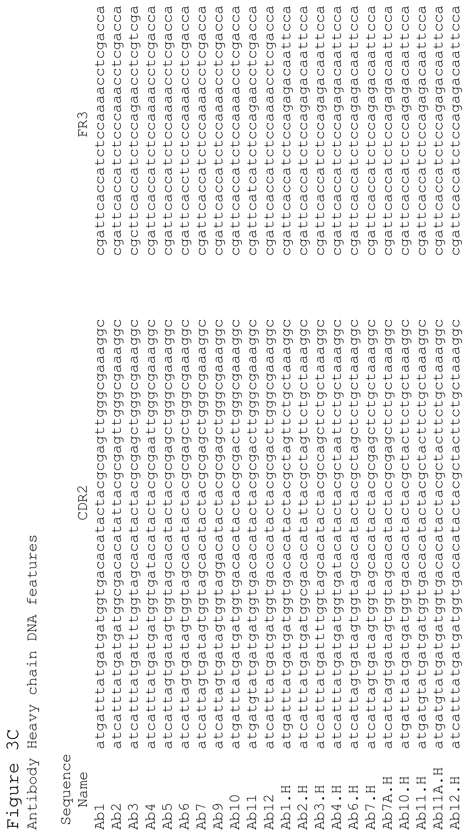 Patent US12351627 Figure 14 – Anti-ACTH antibodies and use thereof