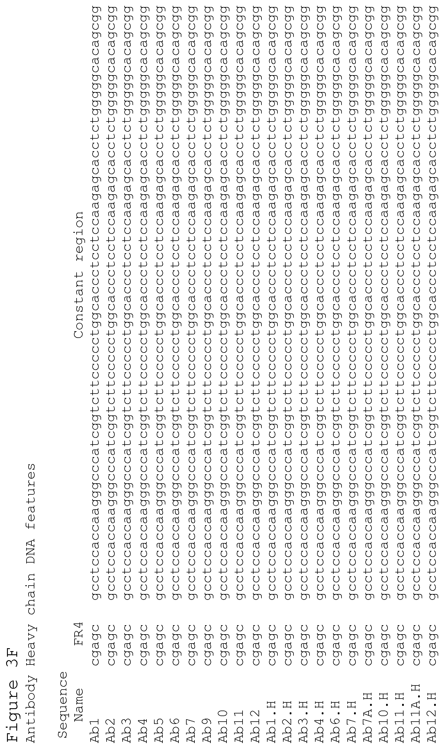 Patent US12351627 Figure 17 – Anti-ACTH antibodies and use thereof