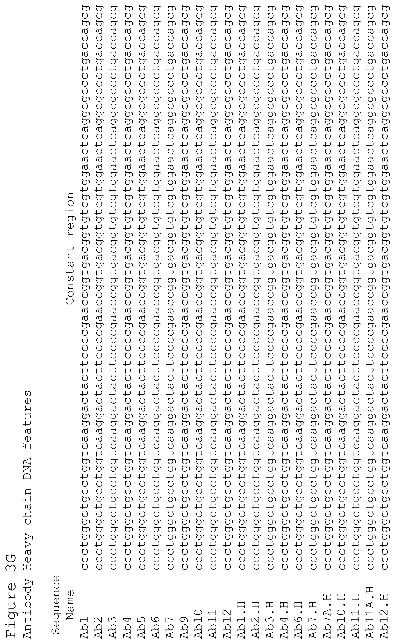 Patent US12351627 Figure 18 – Anti-ACTH antibodies and use thereof
