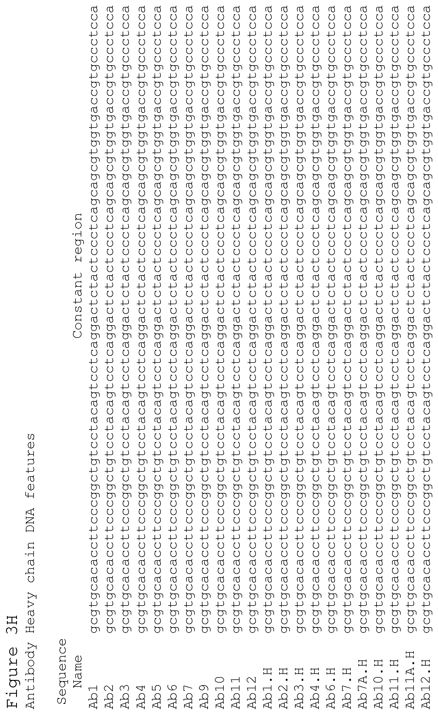 Patent US12351627 Figure 19 – Anti-ACTH antibodies and use thereof