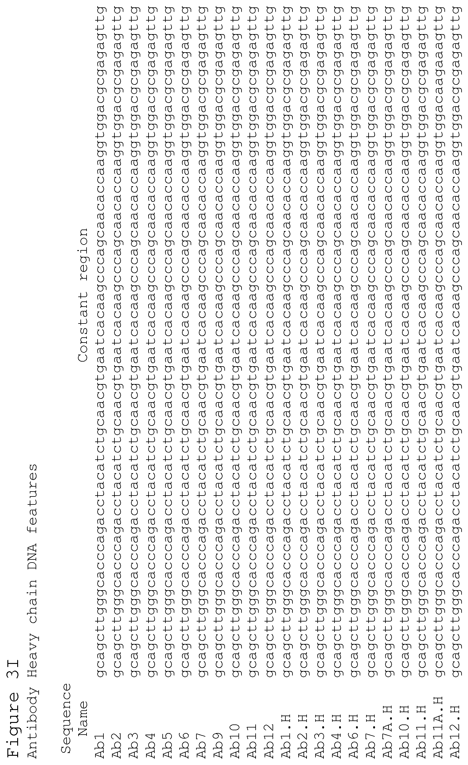 Patent US12351627 Figure 20 – Anti-ACTH antibodies and use thereof