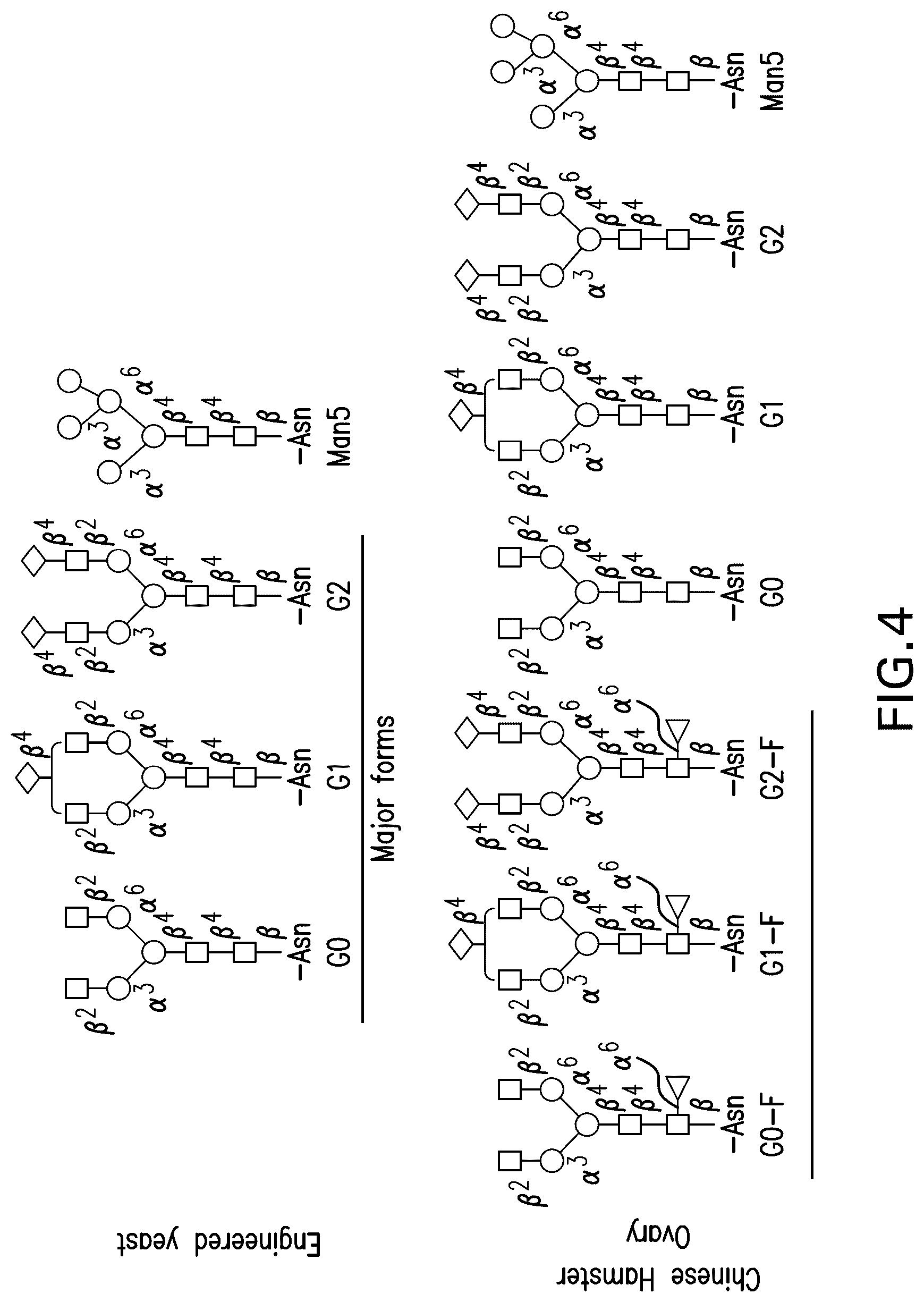 Patent US12351630 Figure 9 – PD1 and/or LAG3 binders