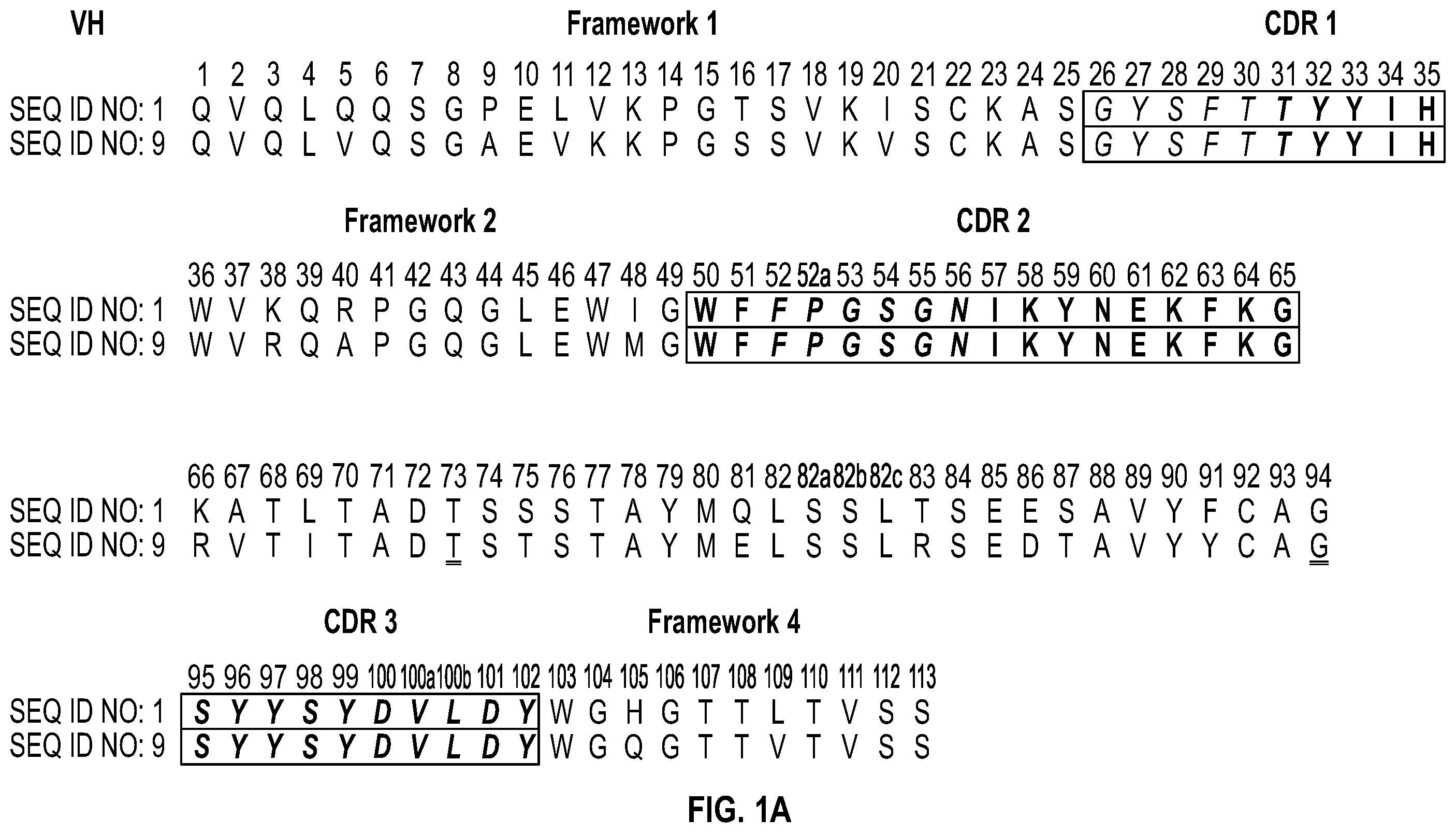 Patent US12351632 Figure 1 – Anti-TCR antibody molecules and uses thereof