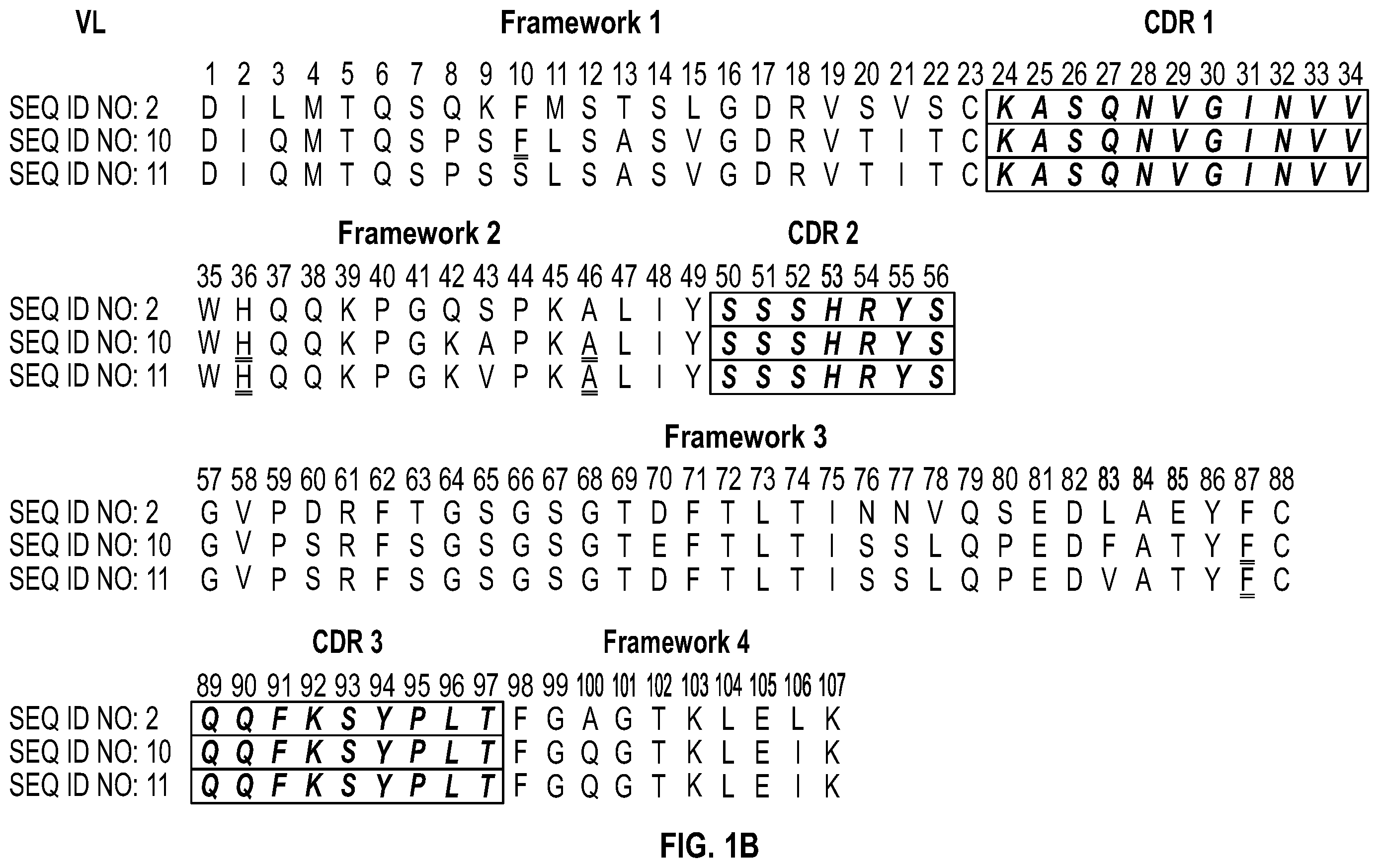 Patent US12351632 Figure 2 – Anti-TCR antibody molecules and uses thereof