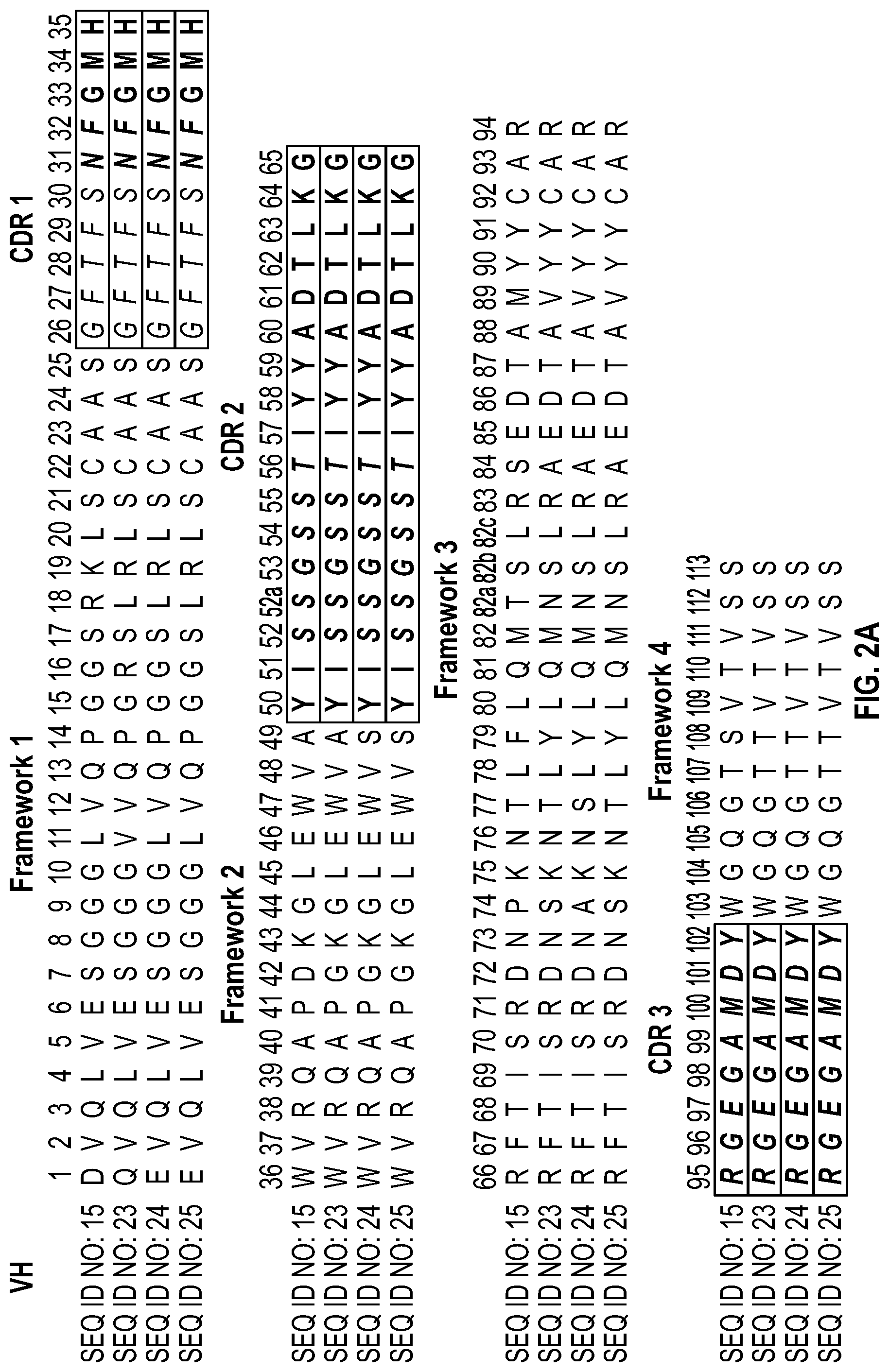 Patent US12351632 Figure 3 – Anti-TCR antibody molecules and uses thereof