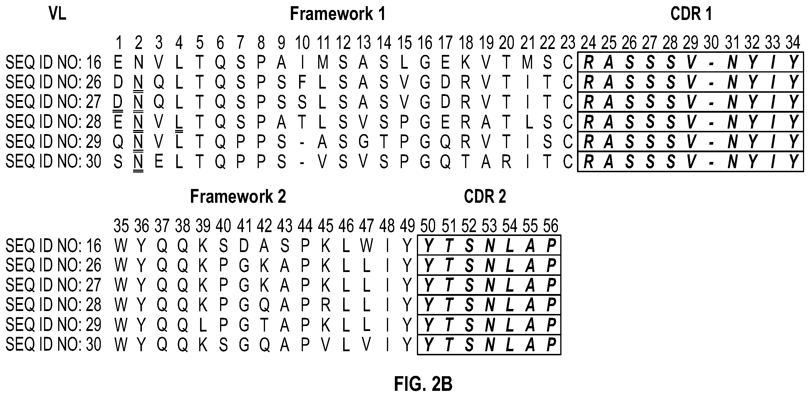 Patent US12351632 Figure 4 – Anti-TCR antibody molecules and uses thereof
