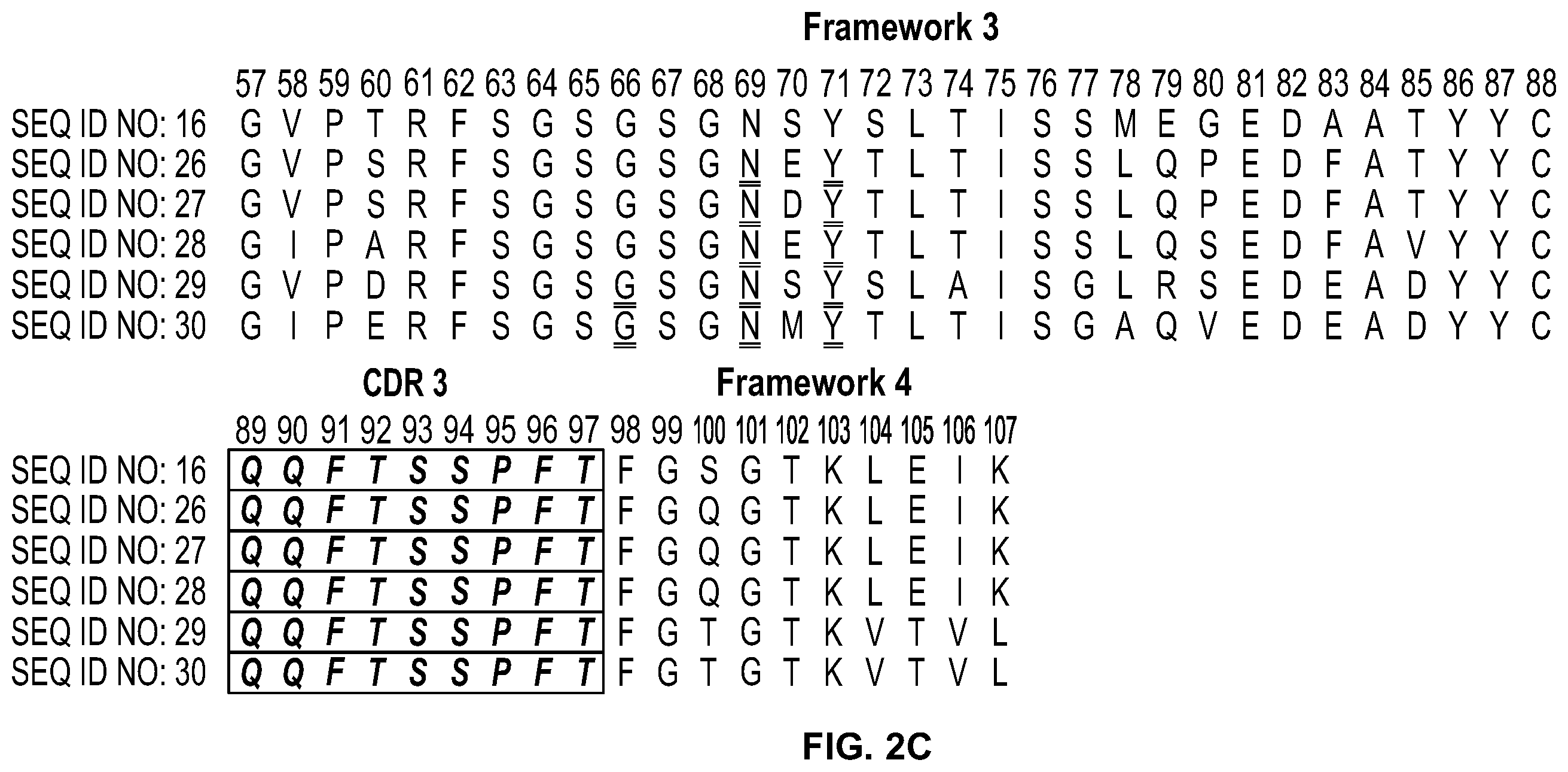 Patent US12351632 Figure 5 – Anti-TCR antibody molecules and uses thereof