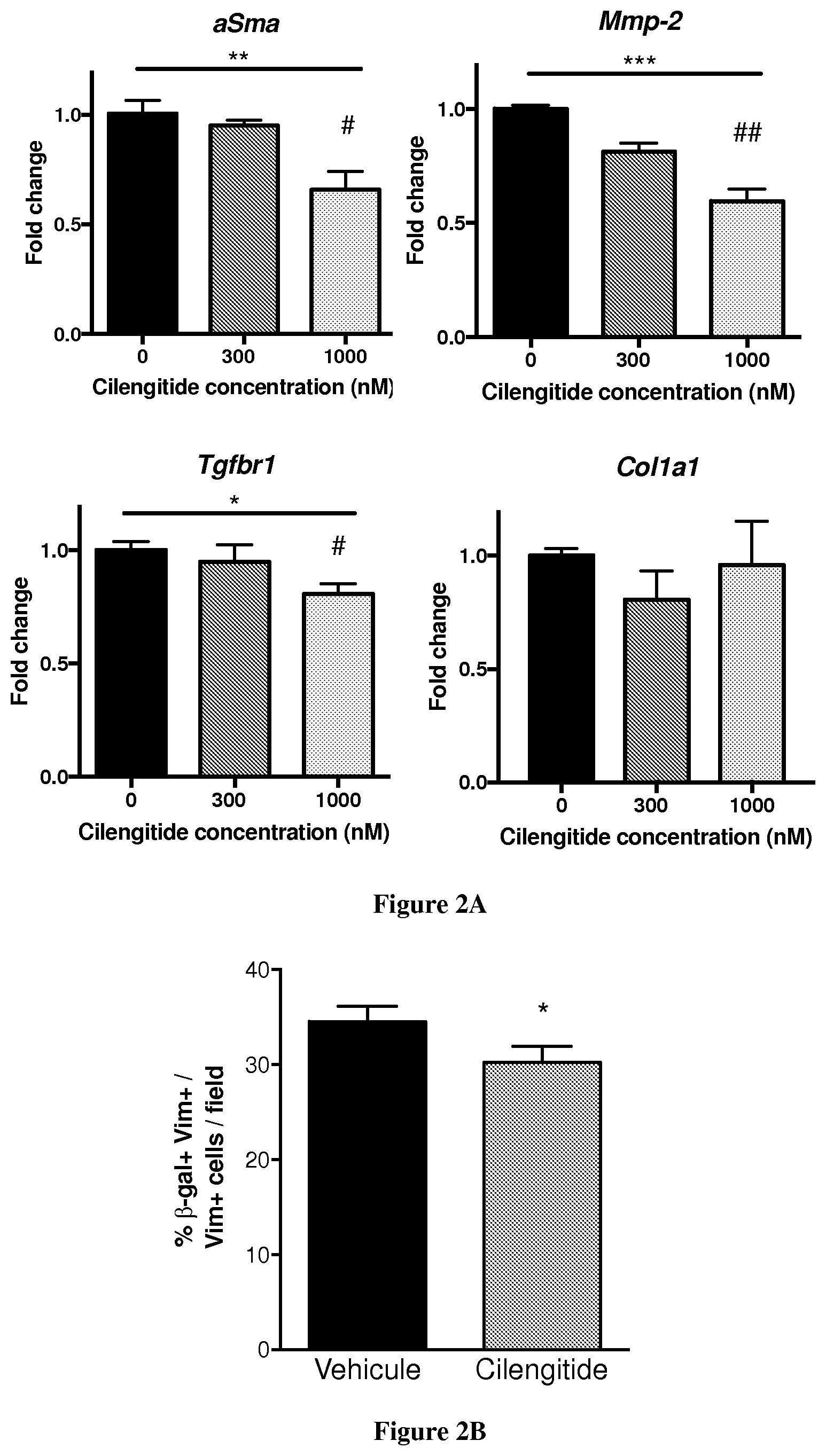 Patent US12351634 Figure 3 – Use of cilengitide for ameliorating cardiac fibrosis occurring in response to myocardial infarction