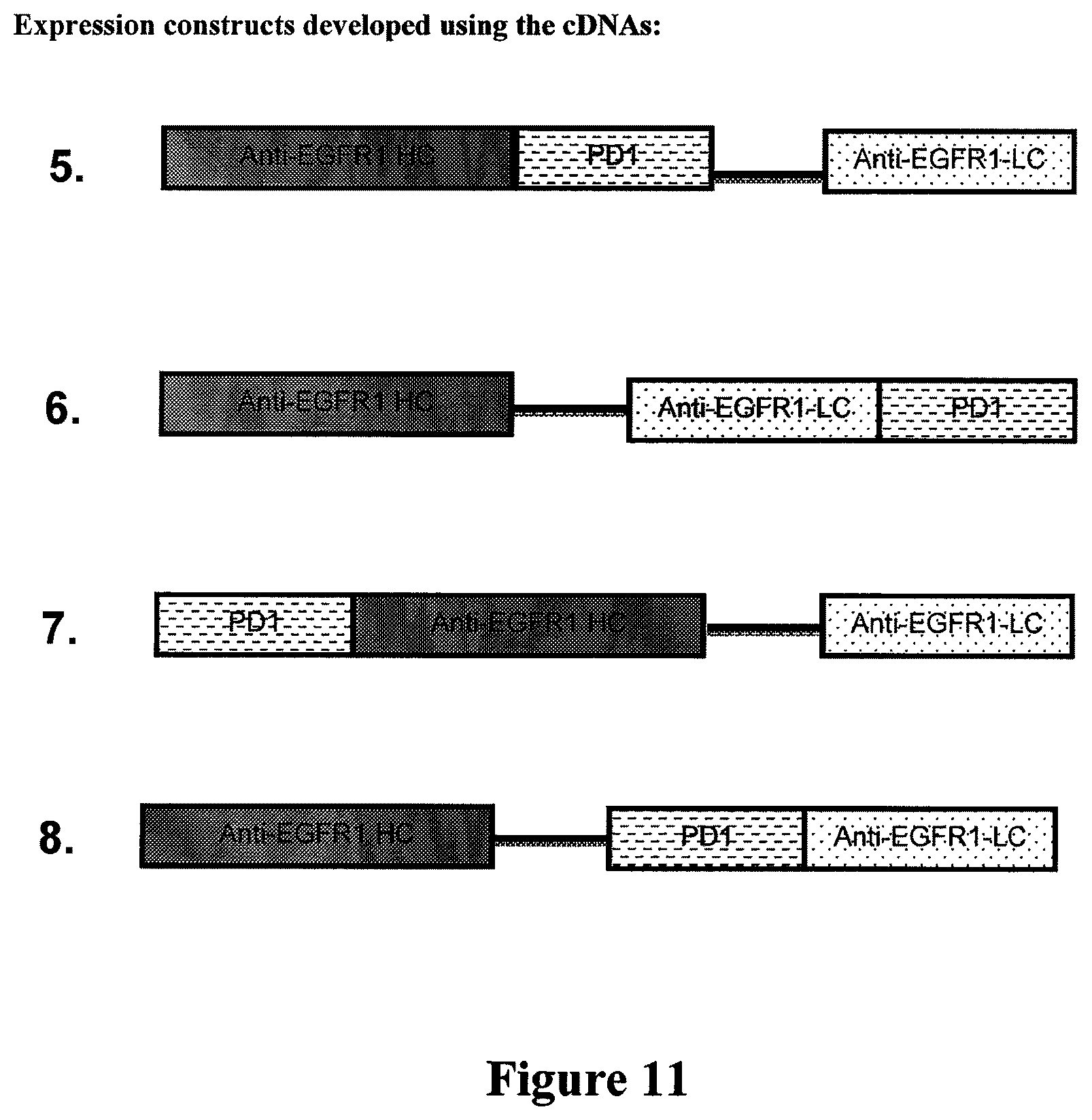Patent US12351636 Figure 13 – Fusion immunomodulatory proteins and methods for making same