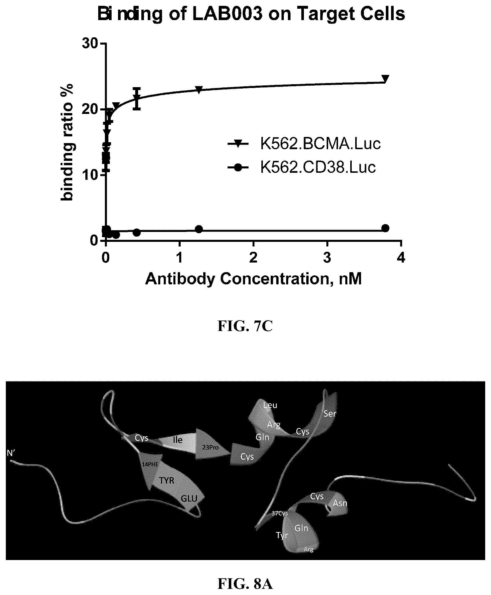 Patent US12351638 Figure 11 – Chimeric antigen receptors targeting BCMA and methods of use thereof
