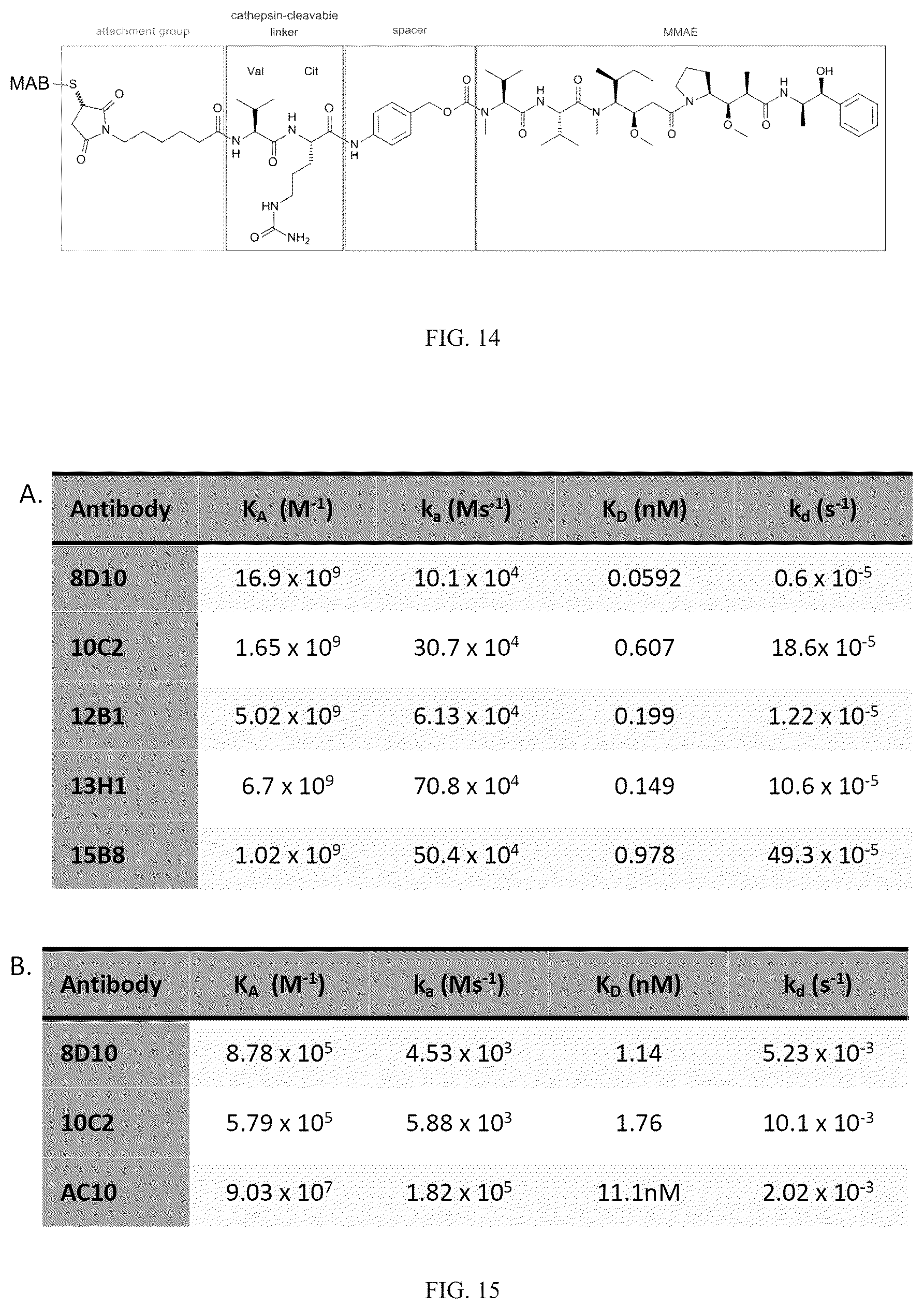 Patent US12351639 Figure 10 – Anti-CD30 antibodies