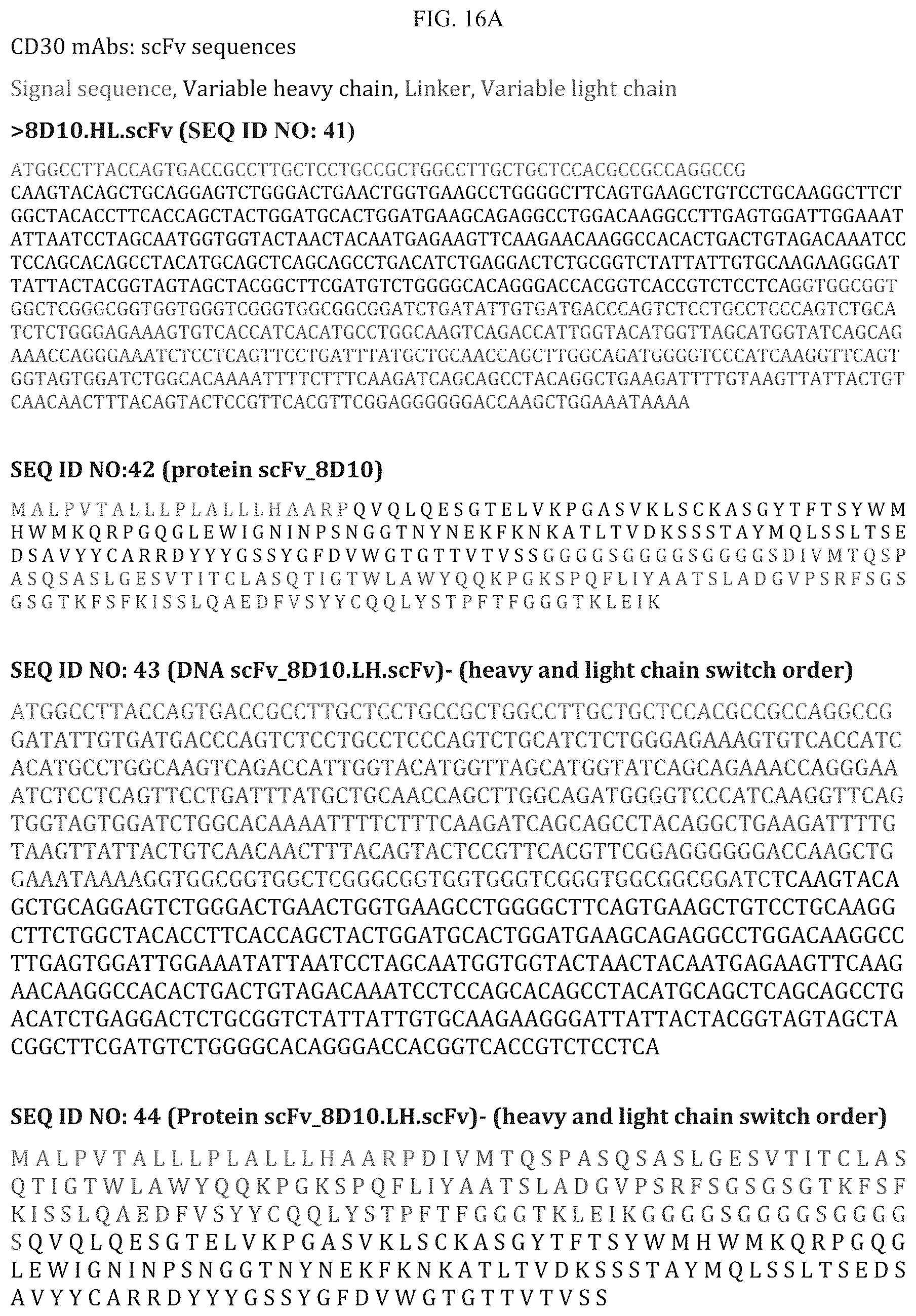 Patent US12351639 Figure 11 – Anti-CD30 antibodies