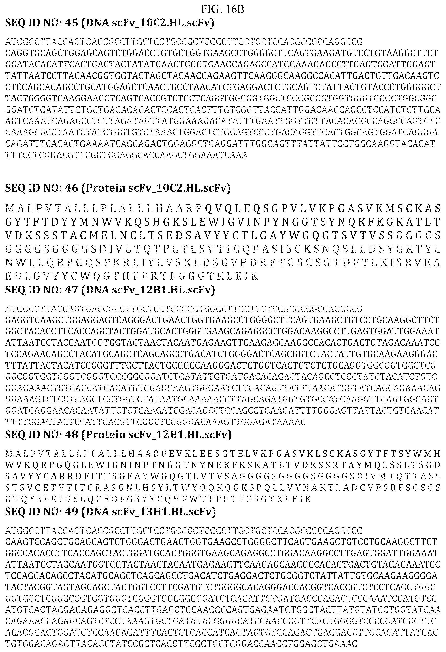 Patent US12351639 Figure 12 – Anti-CD30 antibodies