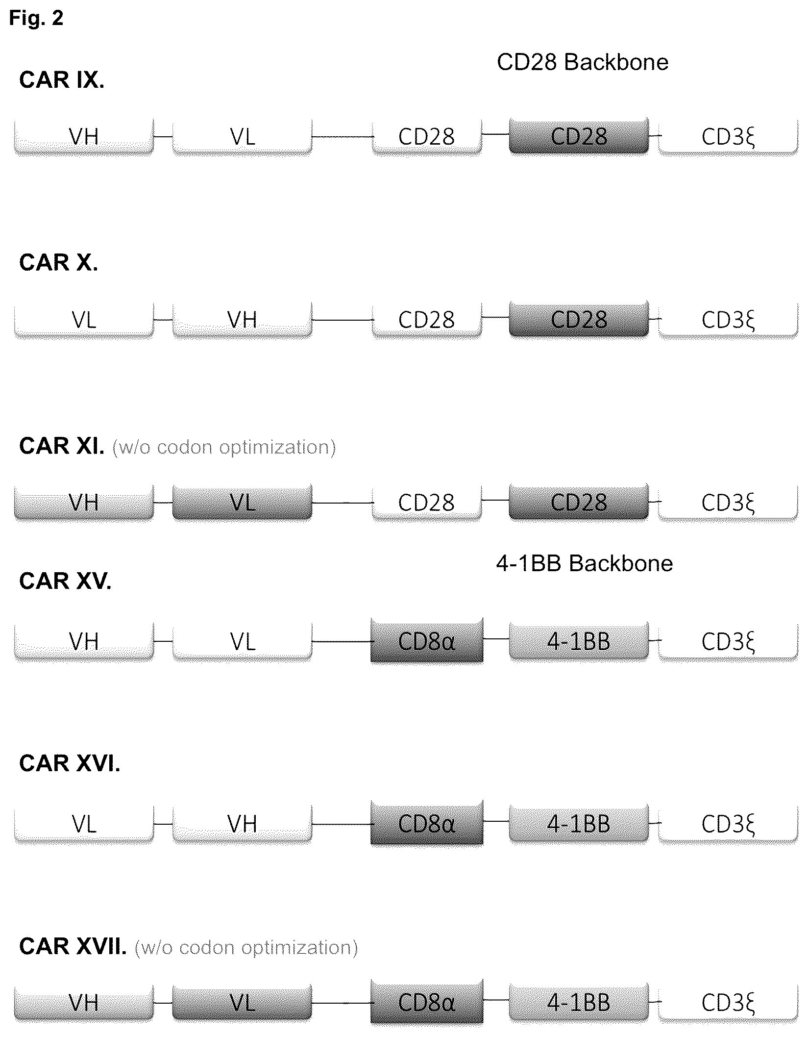 Patent US12351640 Figure 2 – Chimeric antigen receptor and CAR-T cells that bind BCMA
