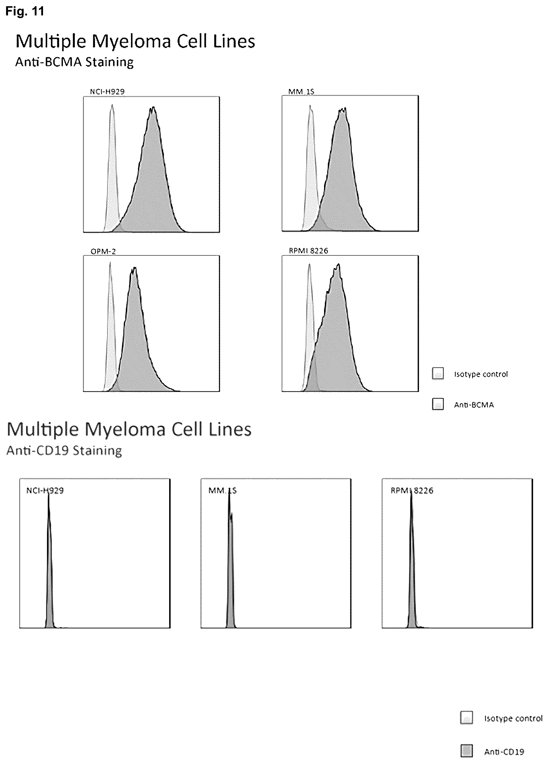 Patent US12351640 Figure 11 – Chimeric antigen receptor and CAR-T cells that bind BCMA