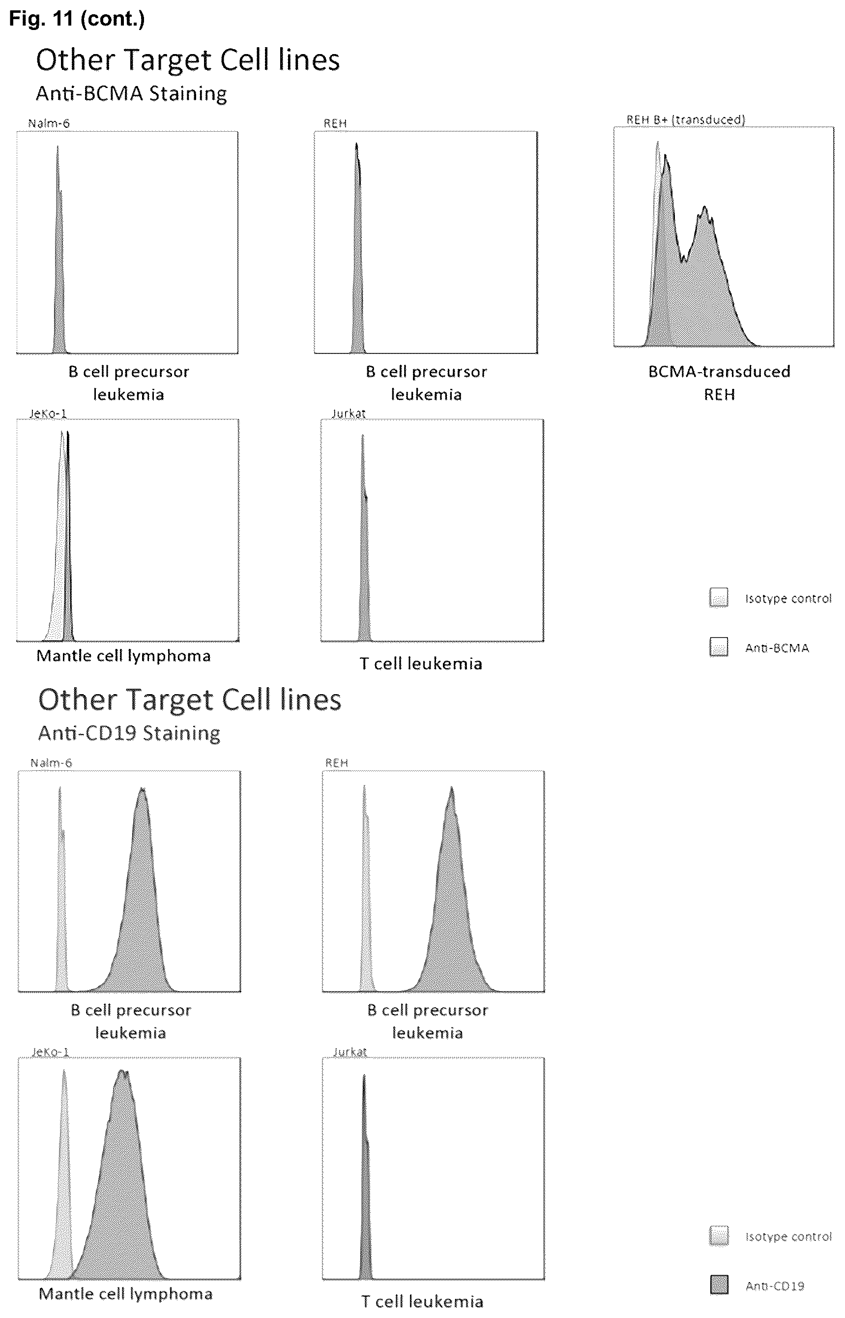 Patent US12351640 Figure 13 – Chimeric antigen receptor and CAR-T cells that bind BCMA