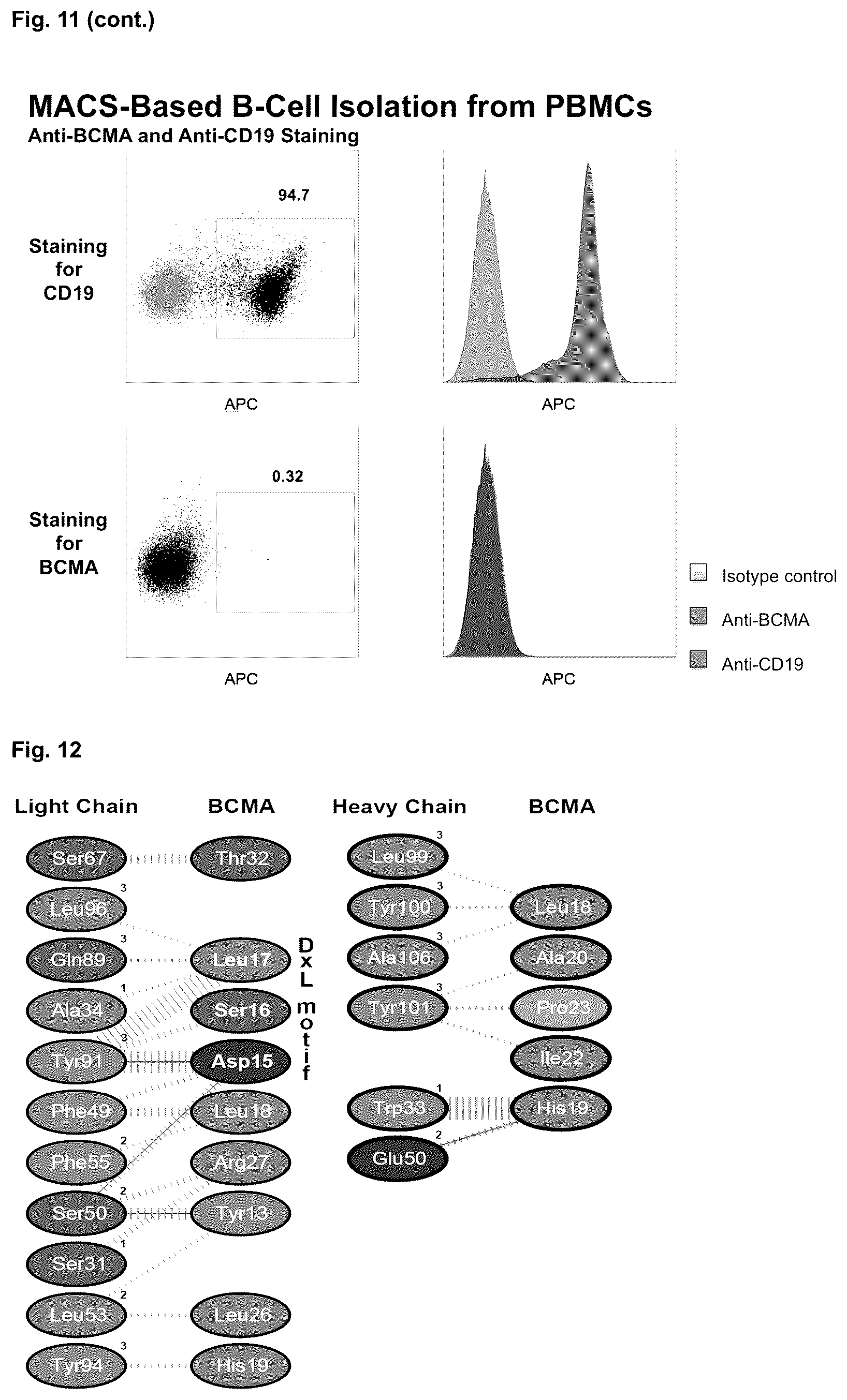 Patent US12351640 Figure 14 – Chimeric antigen receptor and CAR-T cells that bind BCMA
