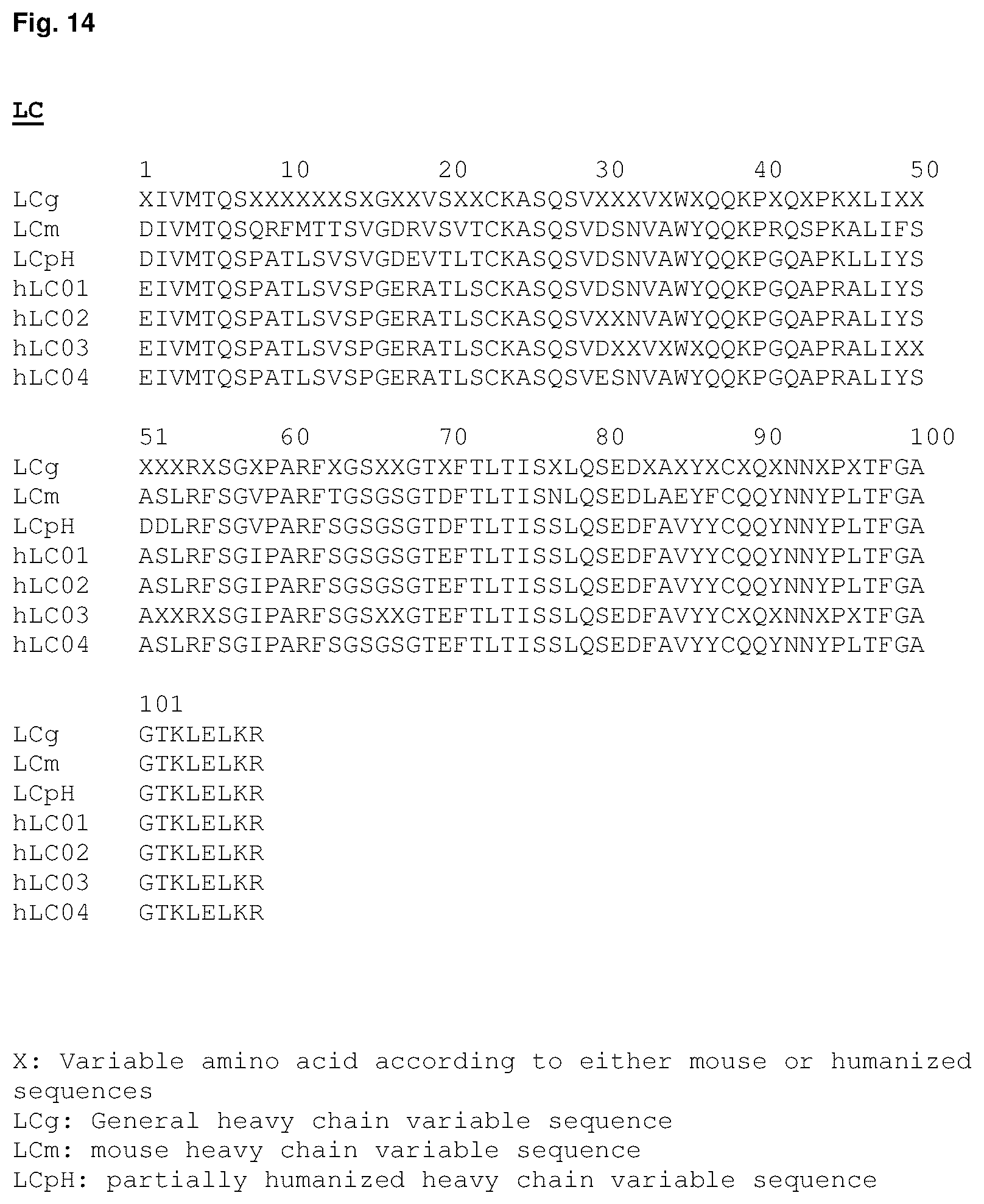 Patent US12351640 Figure 16 – Chimeric antigen receptor and CAR-T cells that bind BCMA