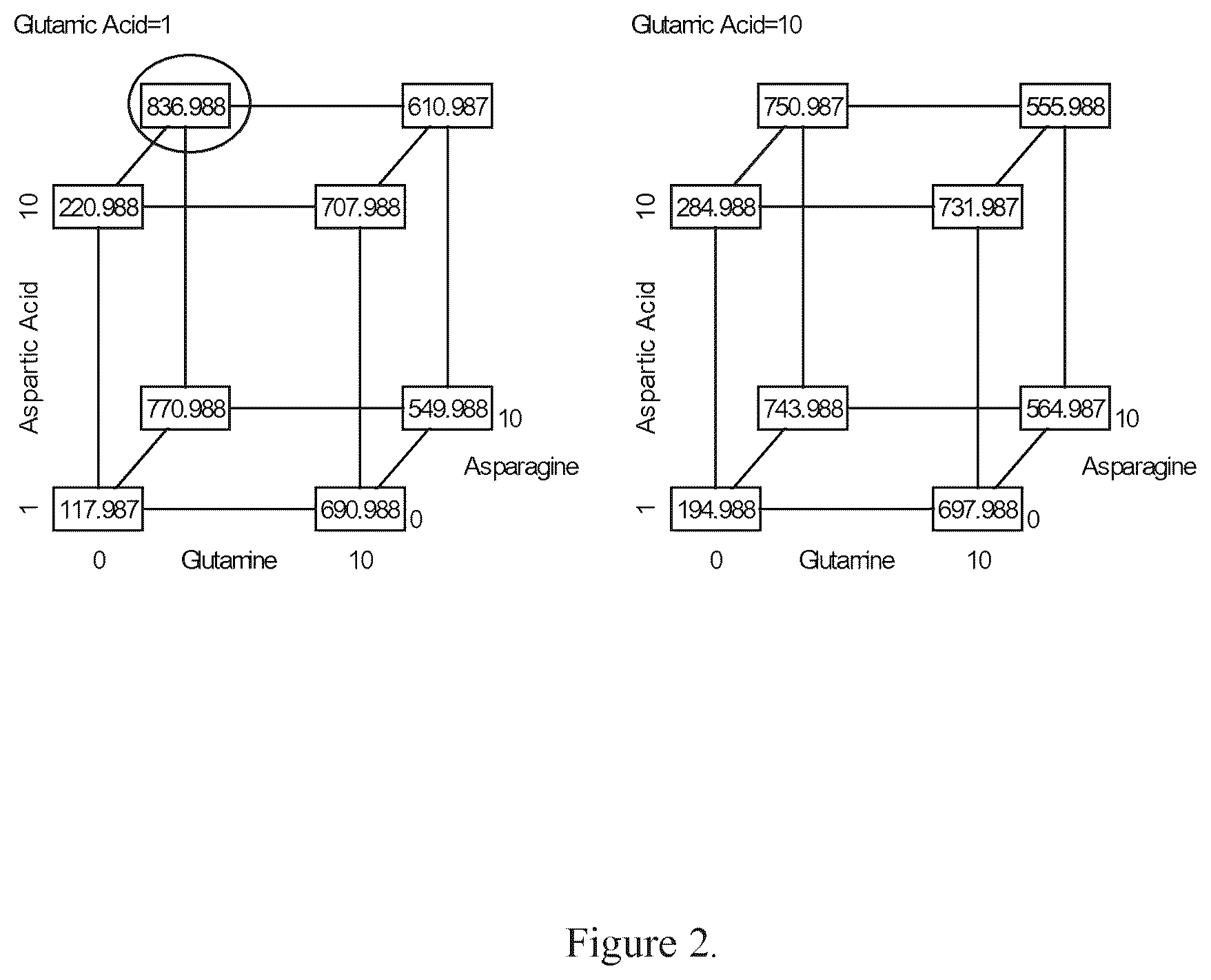 Patent US12351641 Figure 2 – Production of proteins in glutamine-free cell culture media