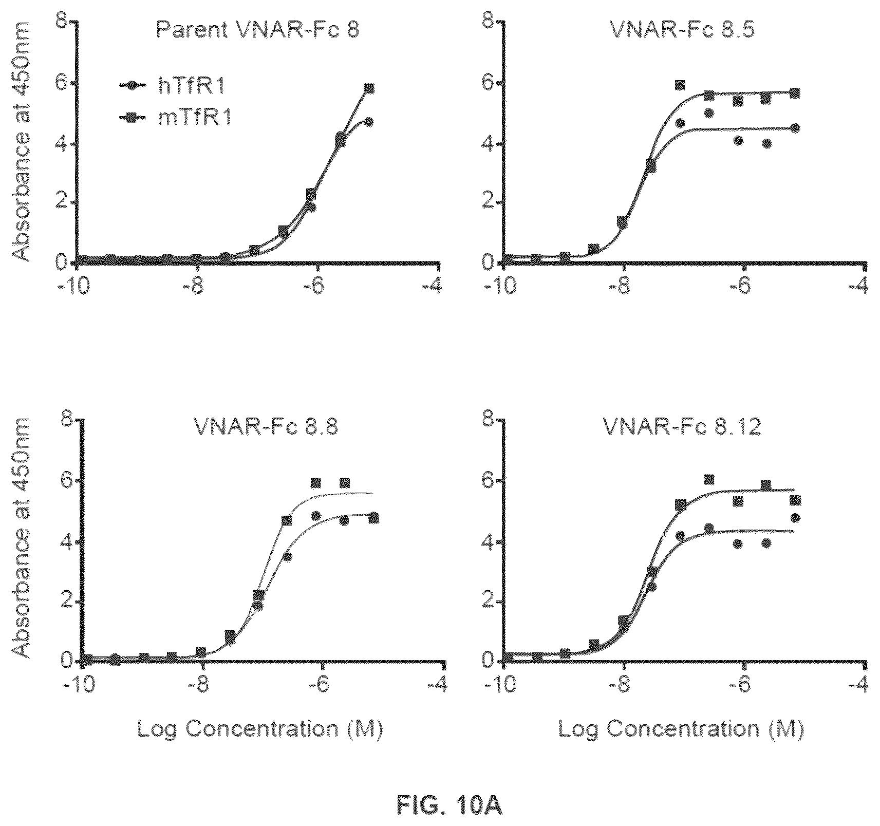 Patent US12351642 Figure 11 – TFR-specific binding moieties and transcytosis method to select VNARs that cross cellular barriers