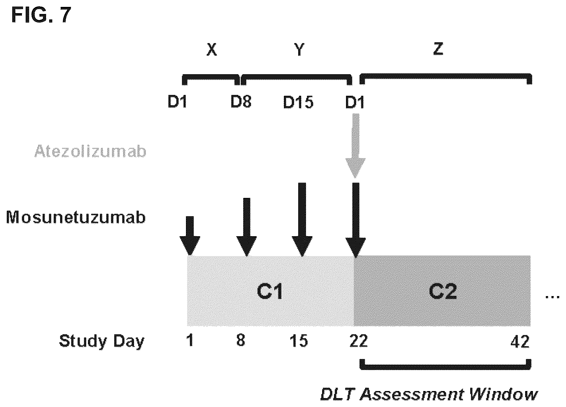 Patent US12351643 Figure 8 – Dosing for treatment with anti-CD20/anti-CD3 bispecific antibodies