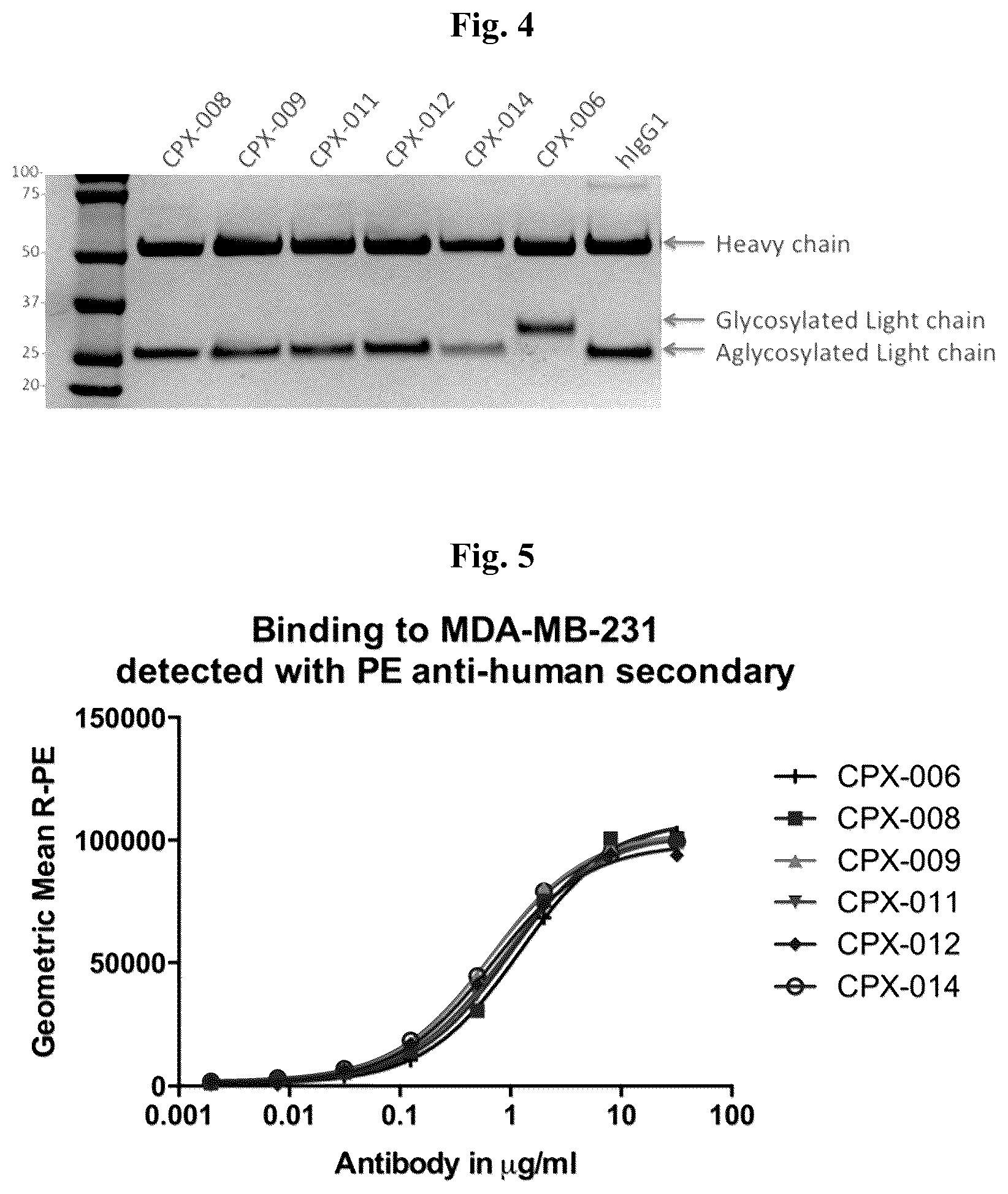 Patent US12351644 Figure 3 – Anti-CD73 antibodies