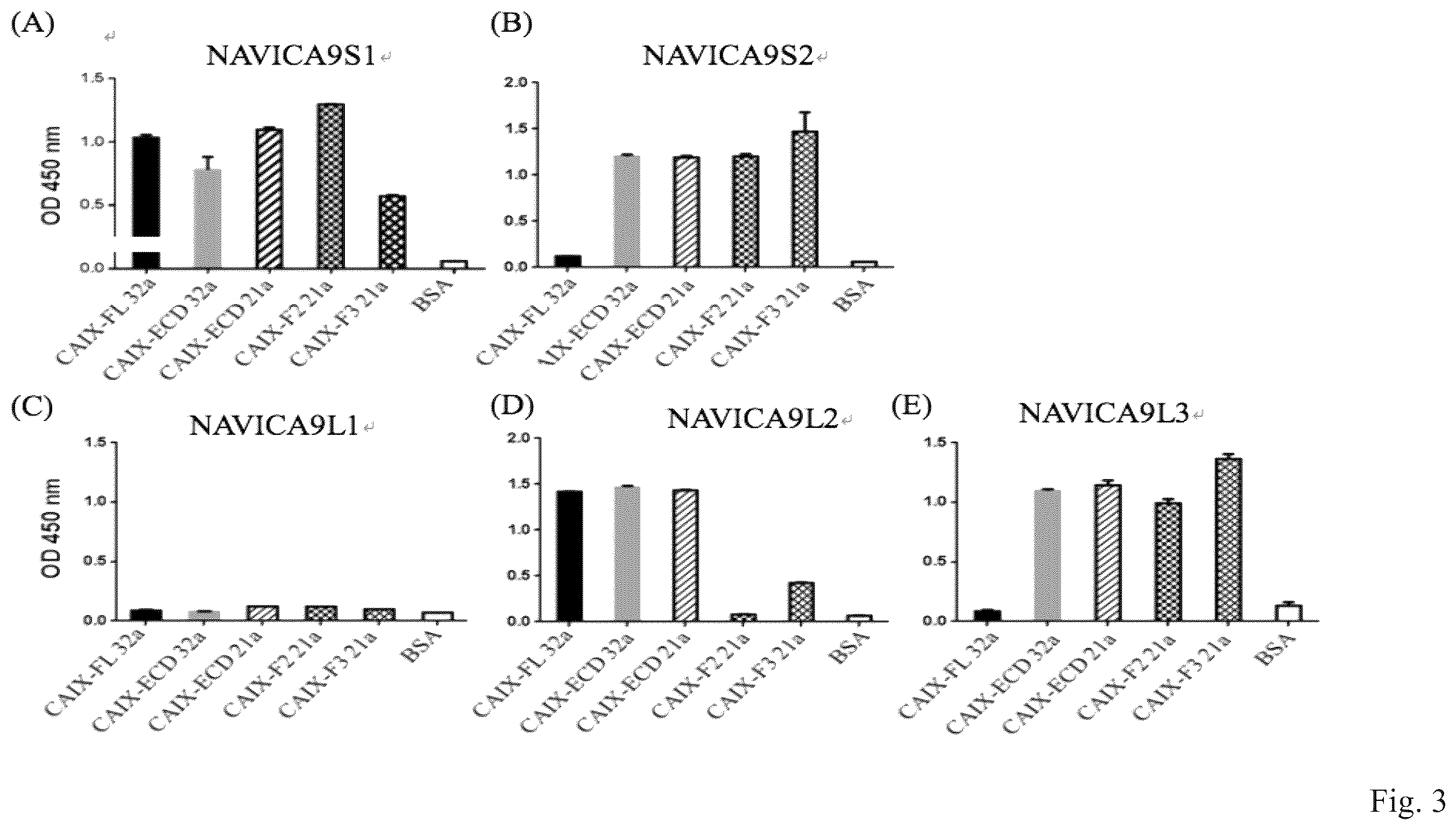 Patent US12351645 Figure 3 – Anti-carbonic anhydrase IX antibody
