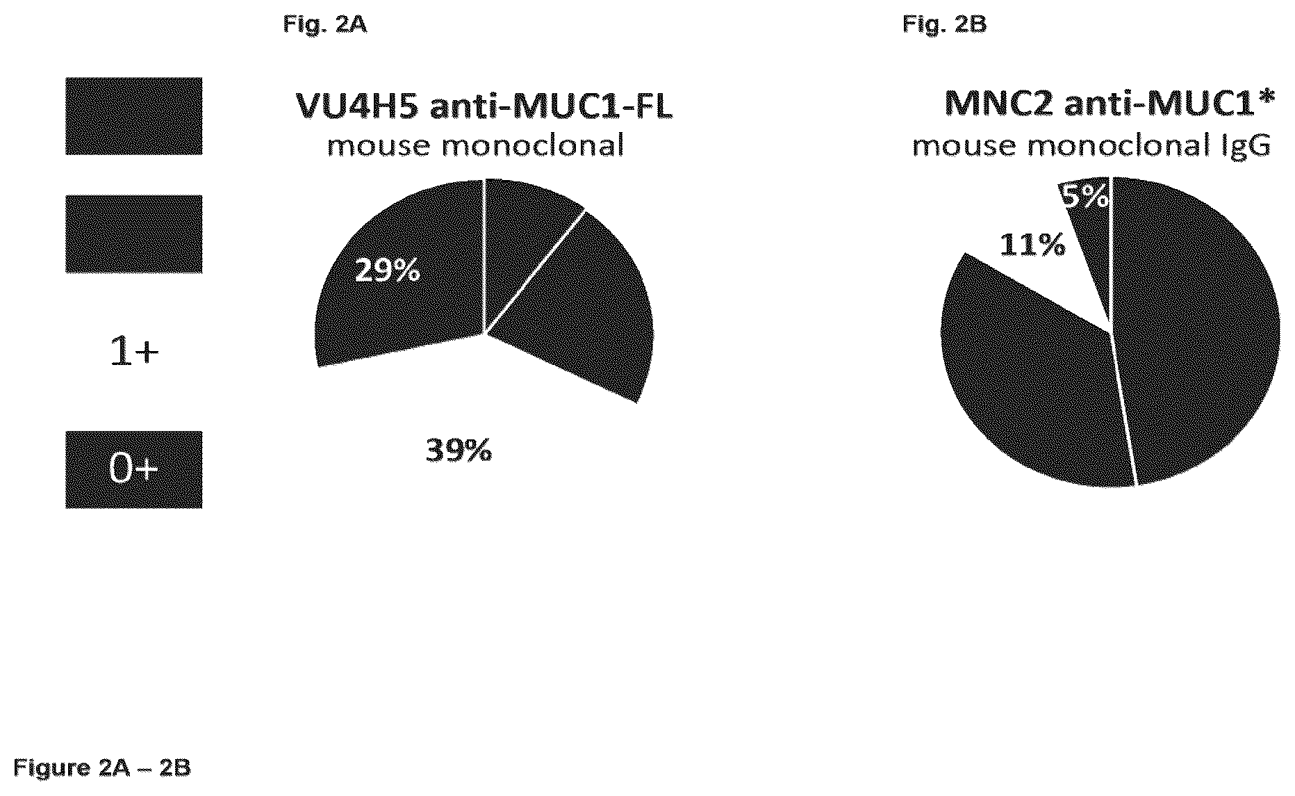 Patent US12351646 Figure 2 – Diagnostic methods using anti-MUC1* antibodies