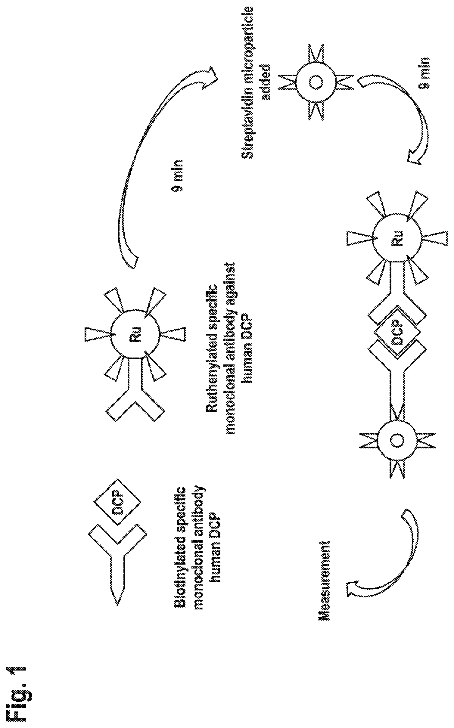 Patent US12351647 Figure 1 – Binding agent and assay for PIVKA