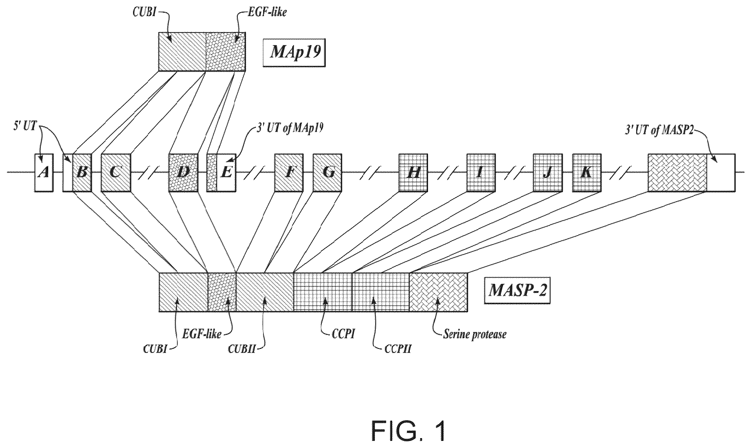 Patent US12351648 Figure 1 – Methods of inhibiting MASP-2 for the treatment and/or prevention of coronavirus-induced acute respiratory distress syndrome