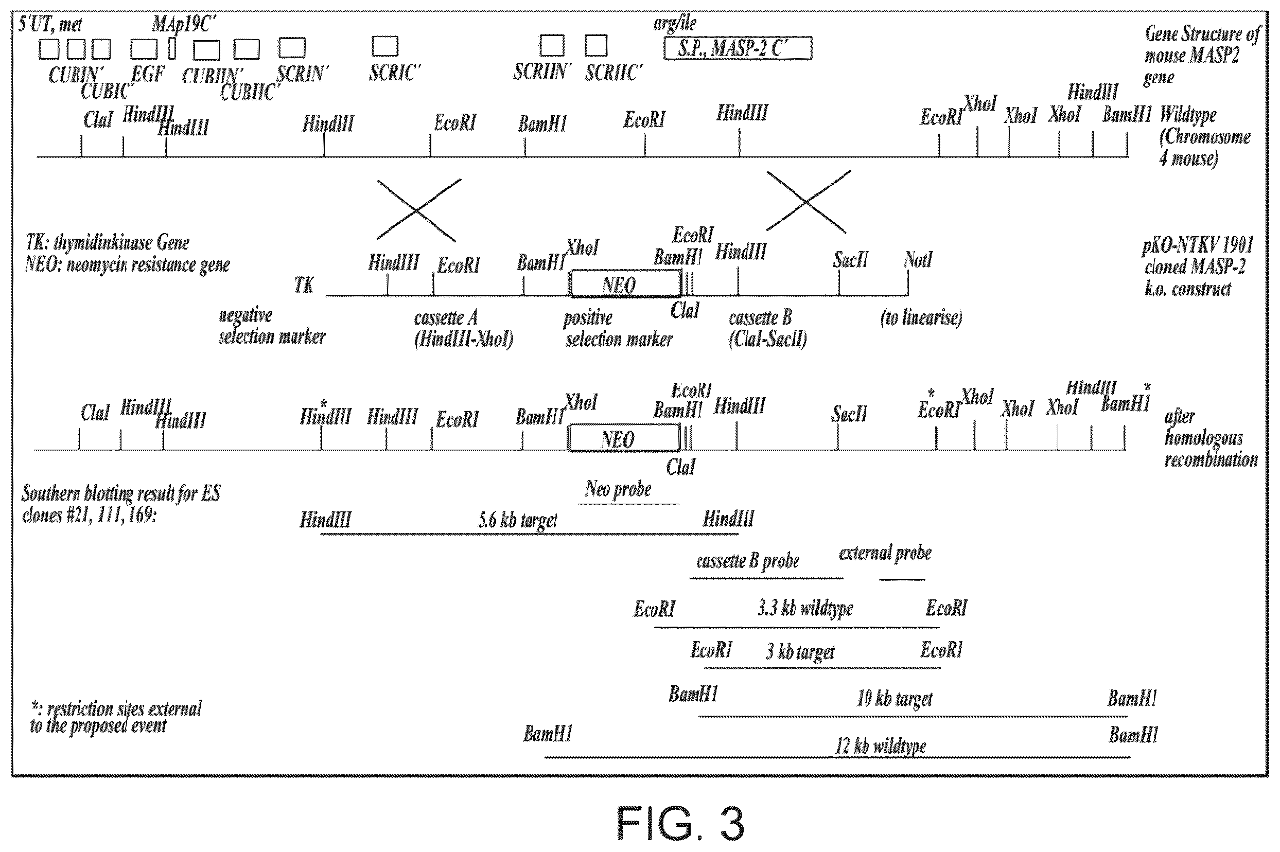 Patent US12351648 Figure 3 – Methods of inhibiting MASP-2 for the treatment and/or prevention of coronavirus-induced acute respiratory distress syndrome