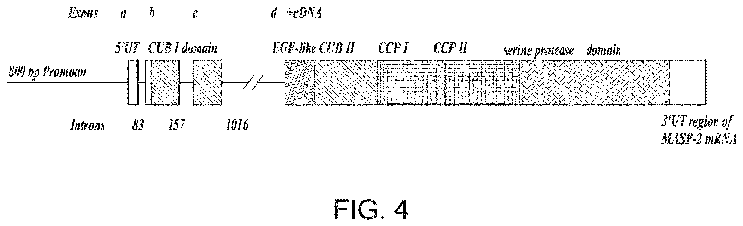 Patent US12351648 Figure 4 – Methods of inhibiting MASP-2 for the treatment and/or prevention of coronavirus-induced acute respiratory distress syndrome