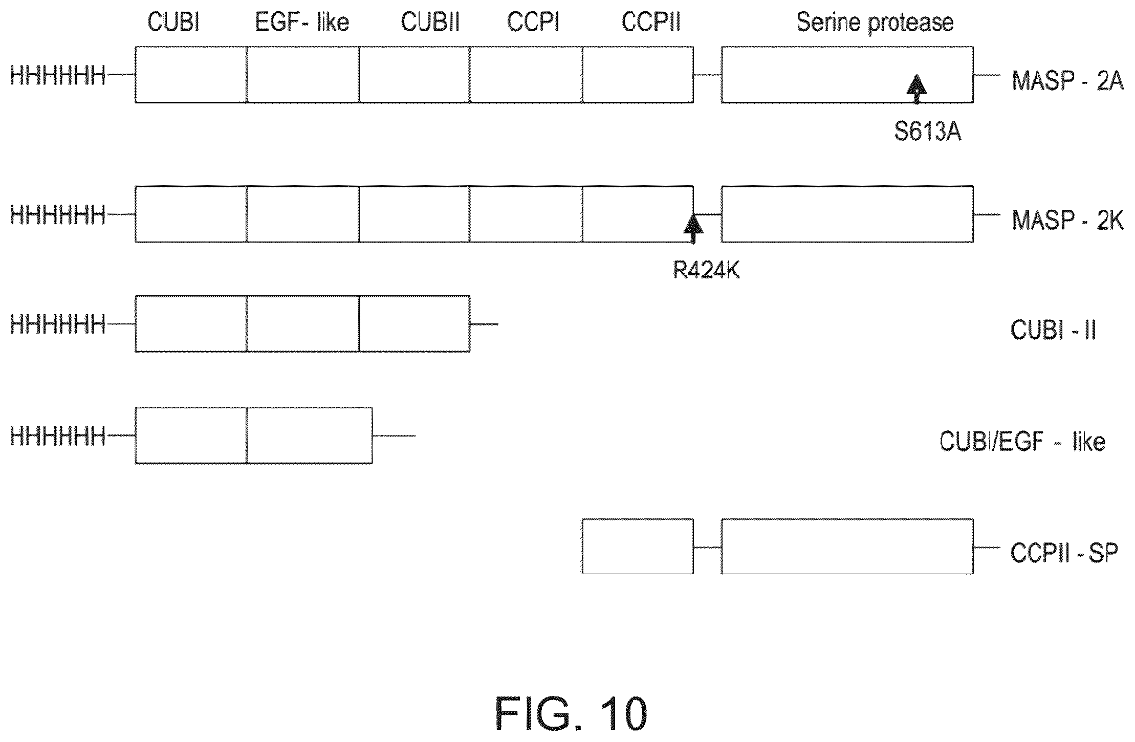 Patent US12351648 Figure 14 – Methods of inhibiting MASP-2 for the treatment and/or prevention of coronavirus-induced acute respiratory distress syndrome