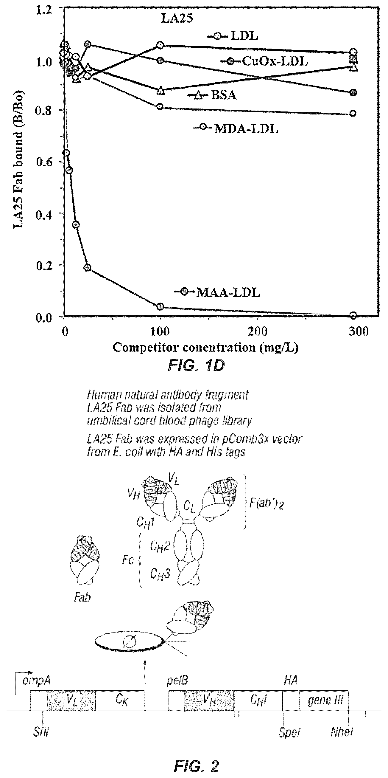 Patent US12351649 Figure 2 – Antibodies to oxidation-specific epitopes