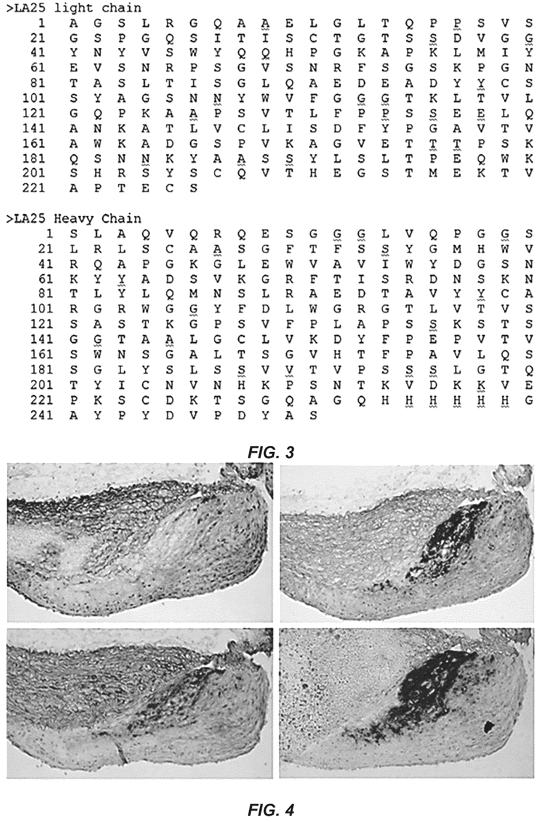 Patent US12351649 Figure 4 – Antibodies to oxidation-specific epitopes