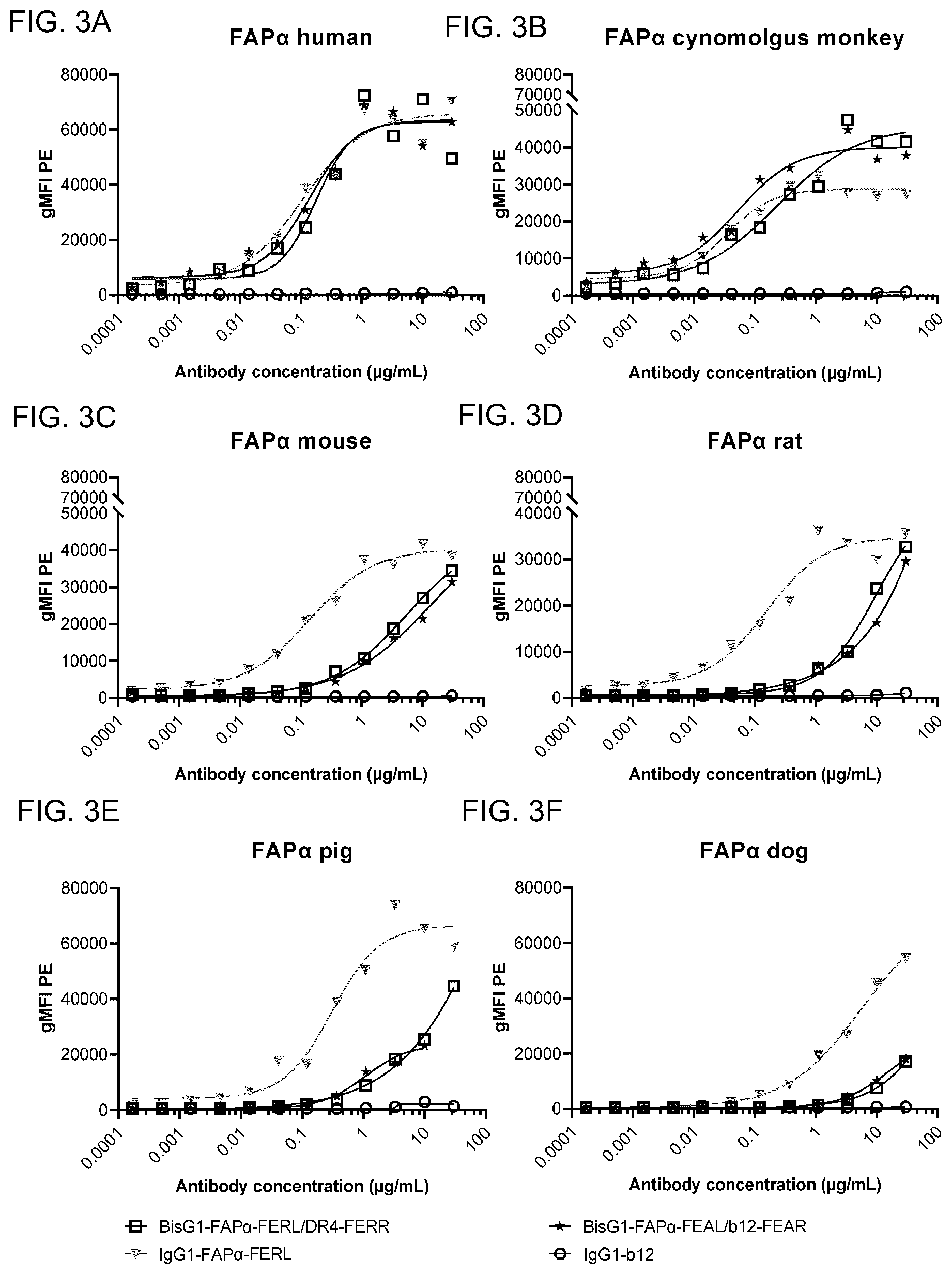Patent US12351650 Figure 4 – Antibodies binding to fibroblast activation protein alpha and death receptor 4